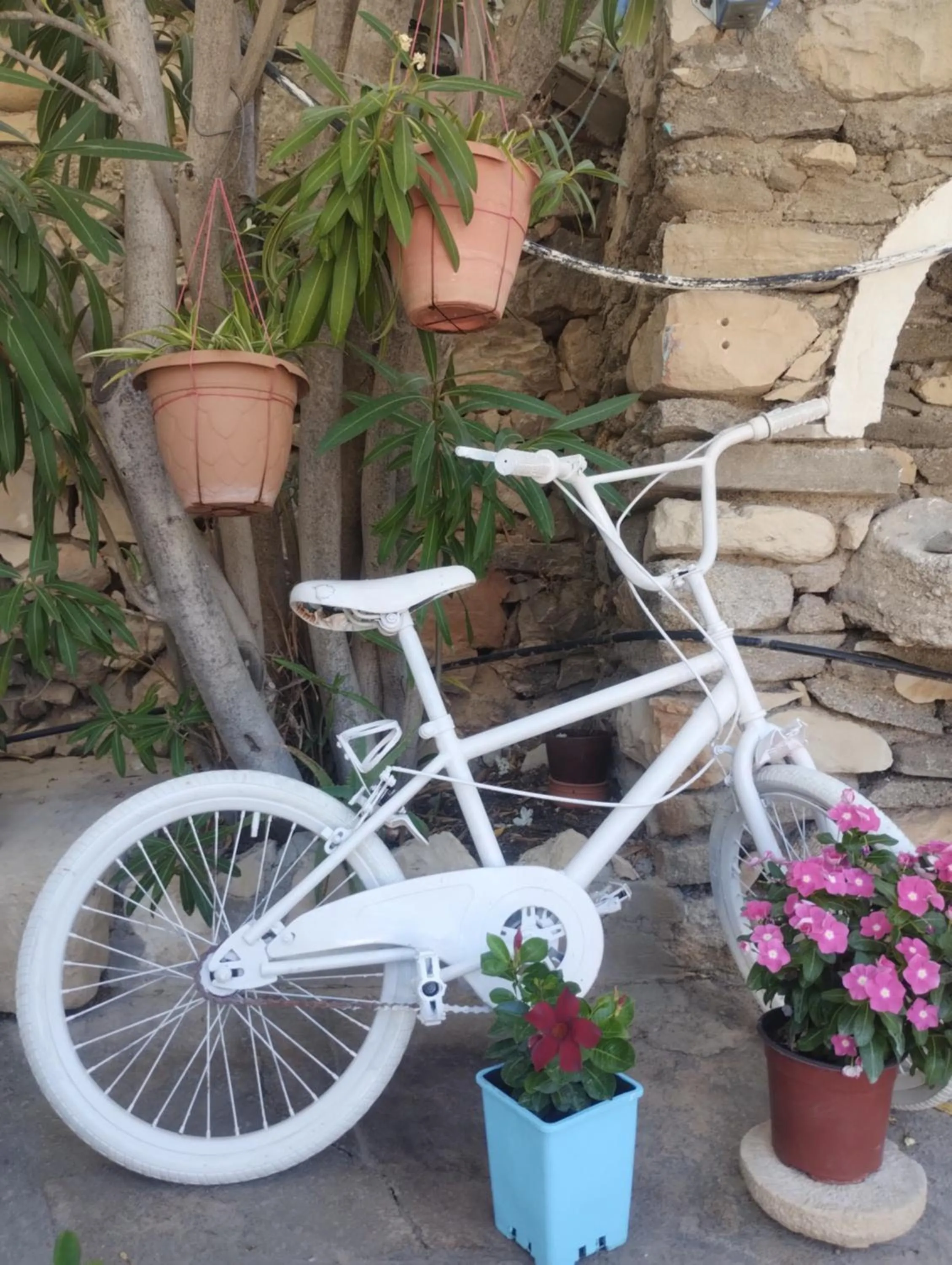 Oleander's Garden Traditional Cretan Cottage