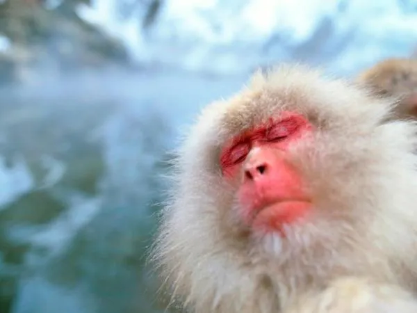 Nearby landmark in Yorozuya