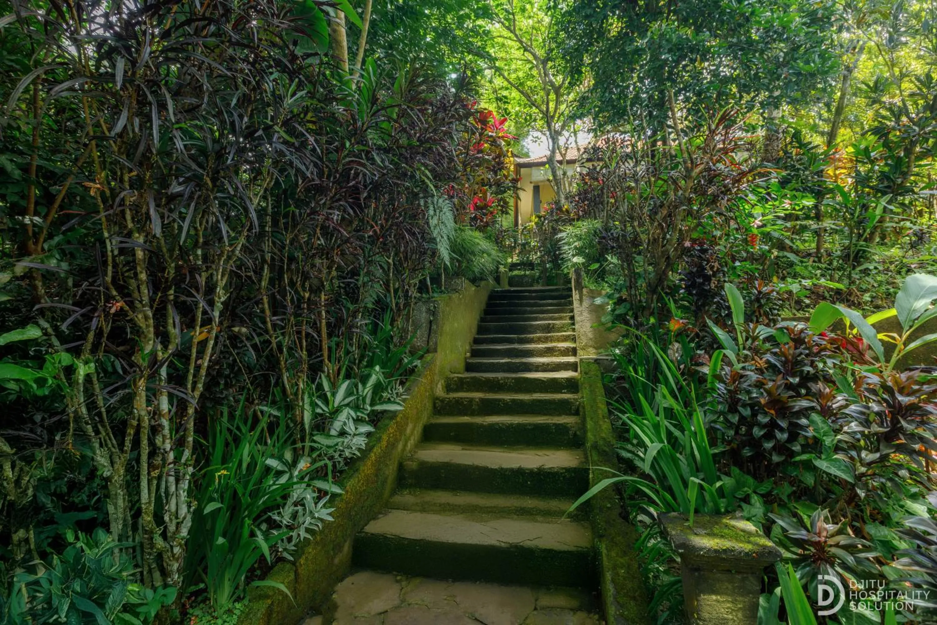 Natural landscape in Taman Indrakila