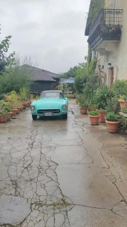 Garden in A la Grenouille du Jura - Chambres d'Hôtes de Charme Oyonnax Nantua