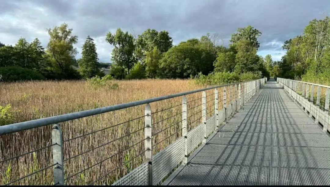 Hiking in A la Grenouille du Jura - Chambres d'Hôtes de Charme Oyonnax Nantua