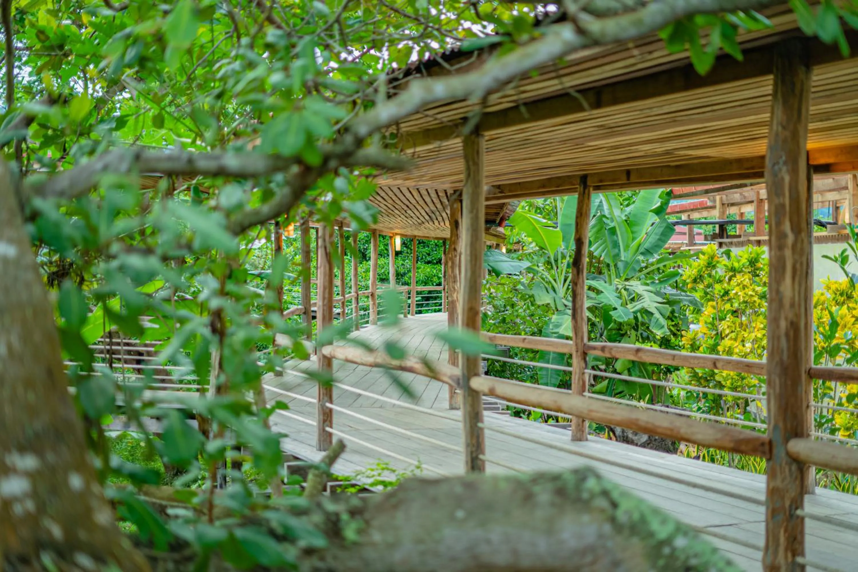 Property building in Peam Snea Resort