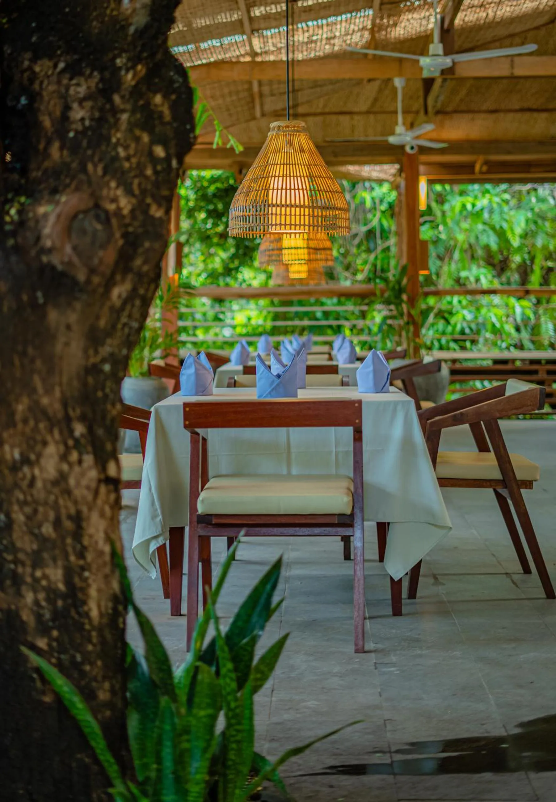 Garden in Peam Snea Resort