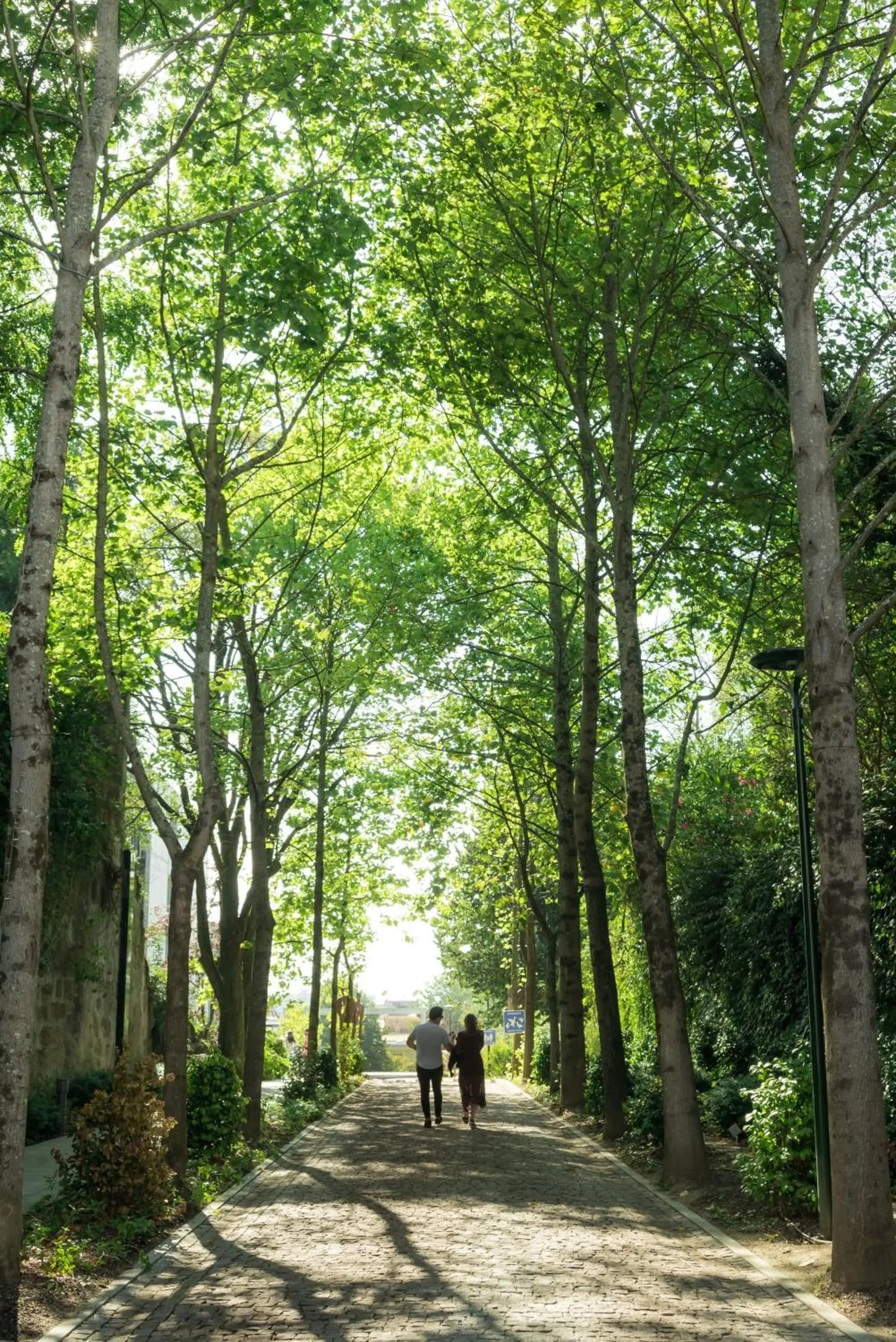 Facade/entrance in Boeira Garden Hotel Porto Gaia, Curio Collection by Hilton Facade/entrance in Boeira Garden Hotel Porto Gaia, Curio Collection by Hilton