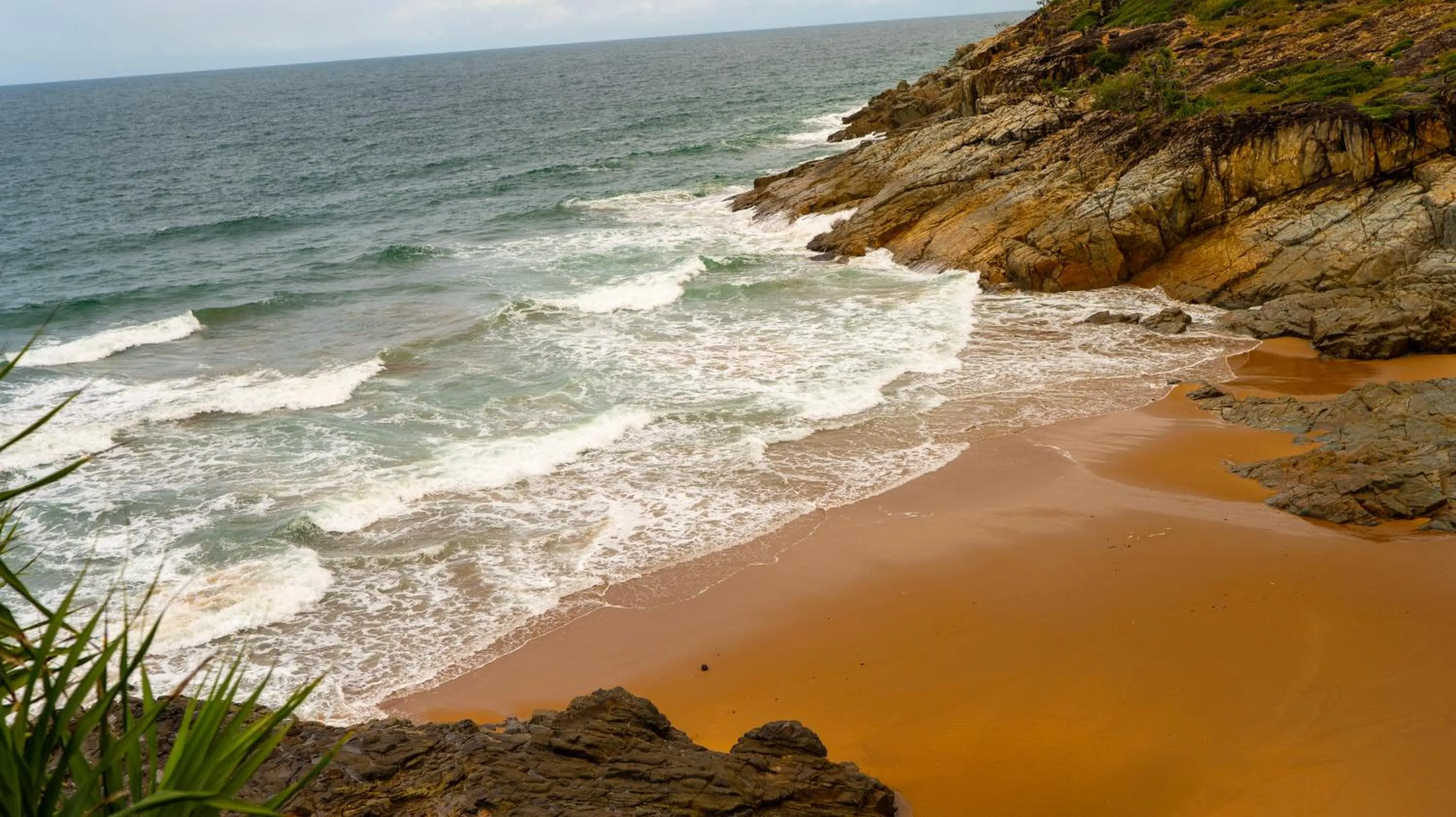 Natural landscape in Agnes Water Beach Club