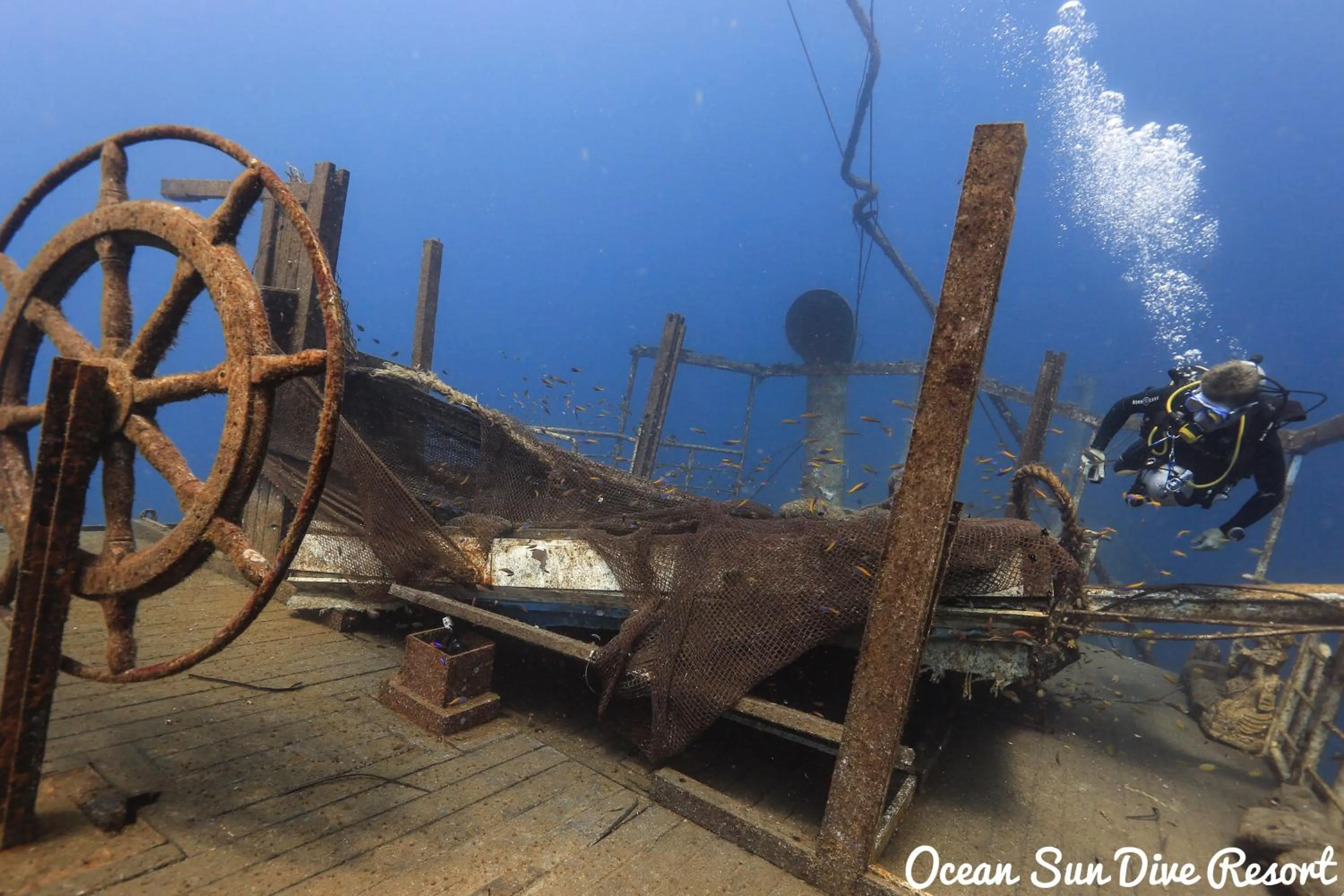 Other in Ocean Sun Dive Resort