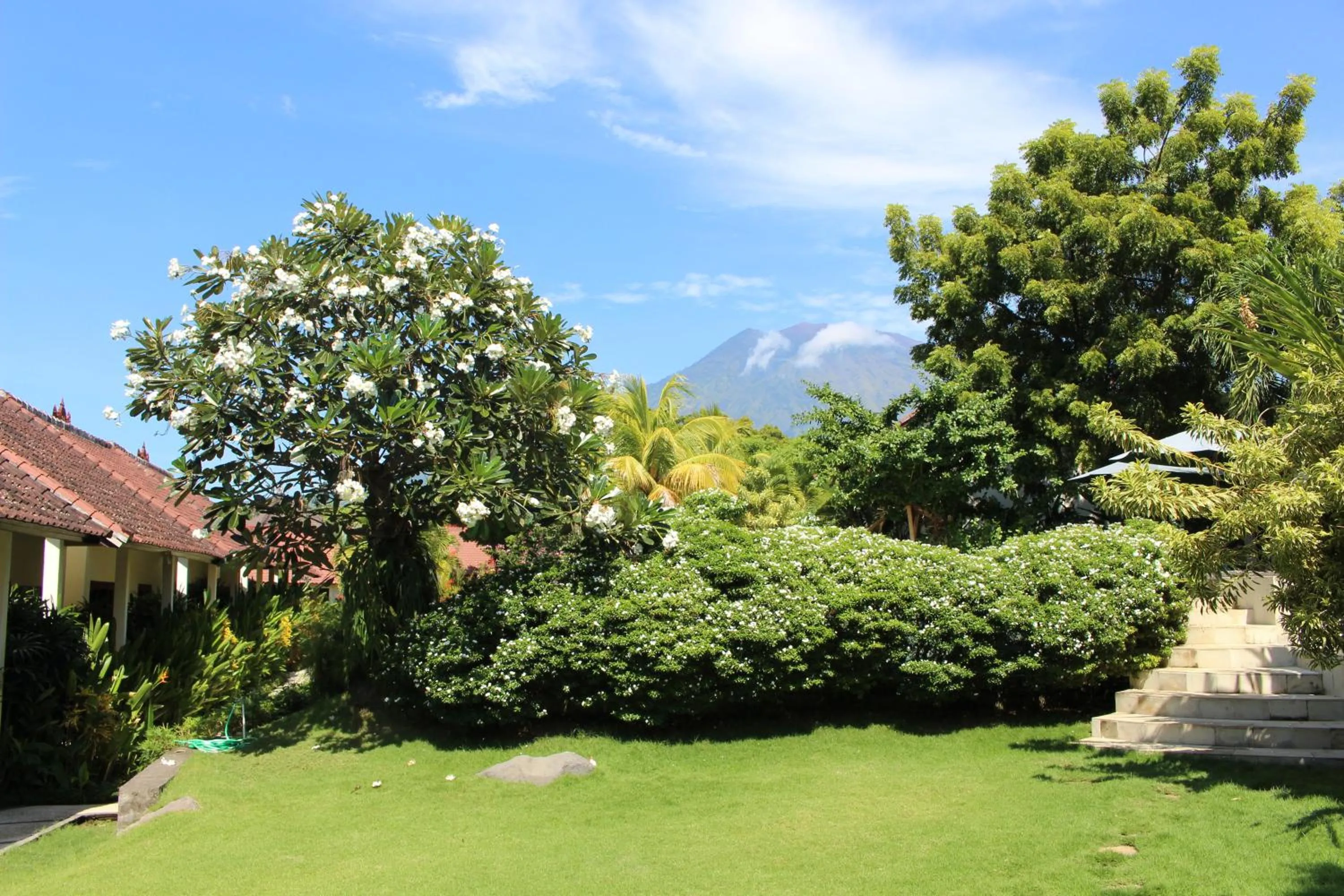 Garden in Ocean Sun Dive Resort