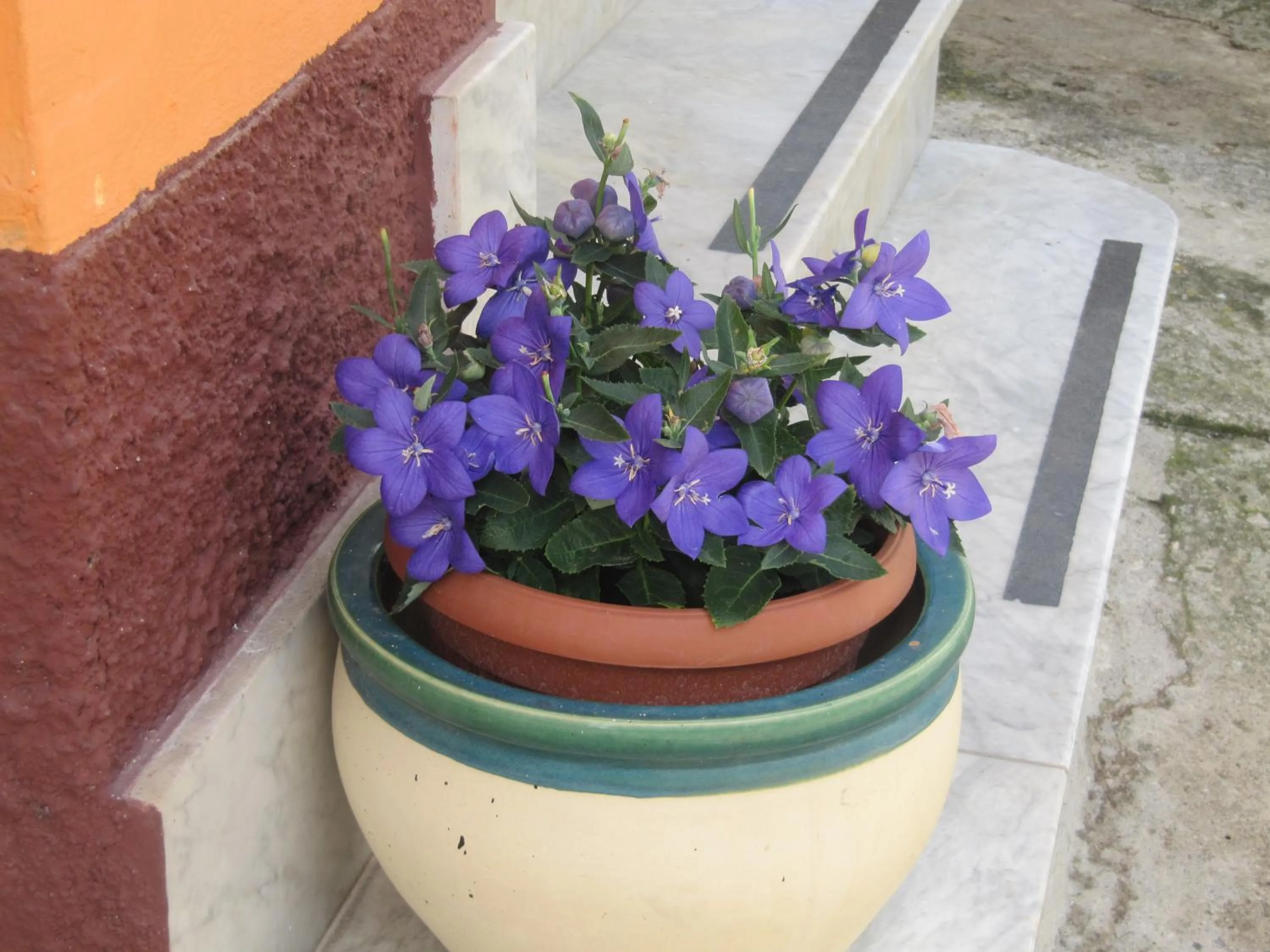 Floor plan in Montagne Rocciose