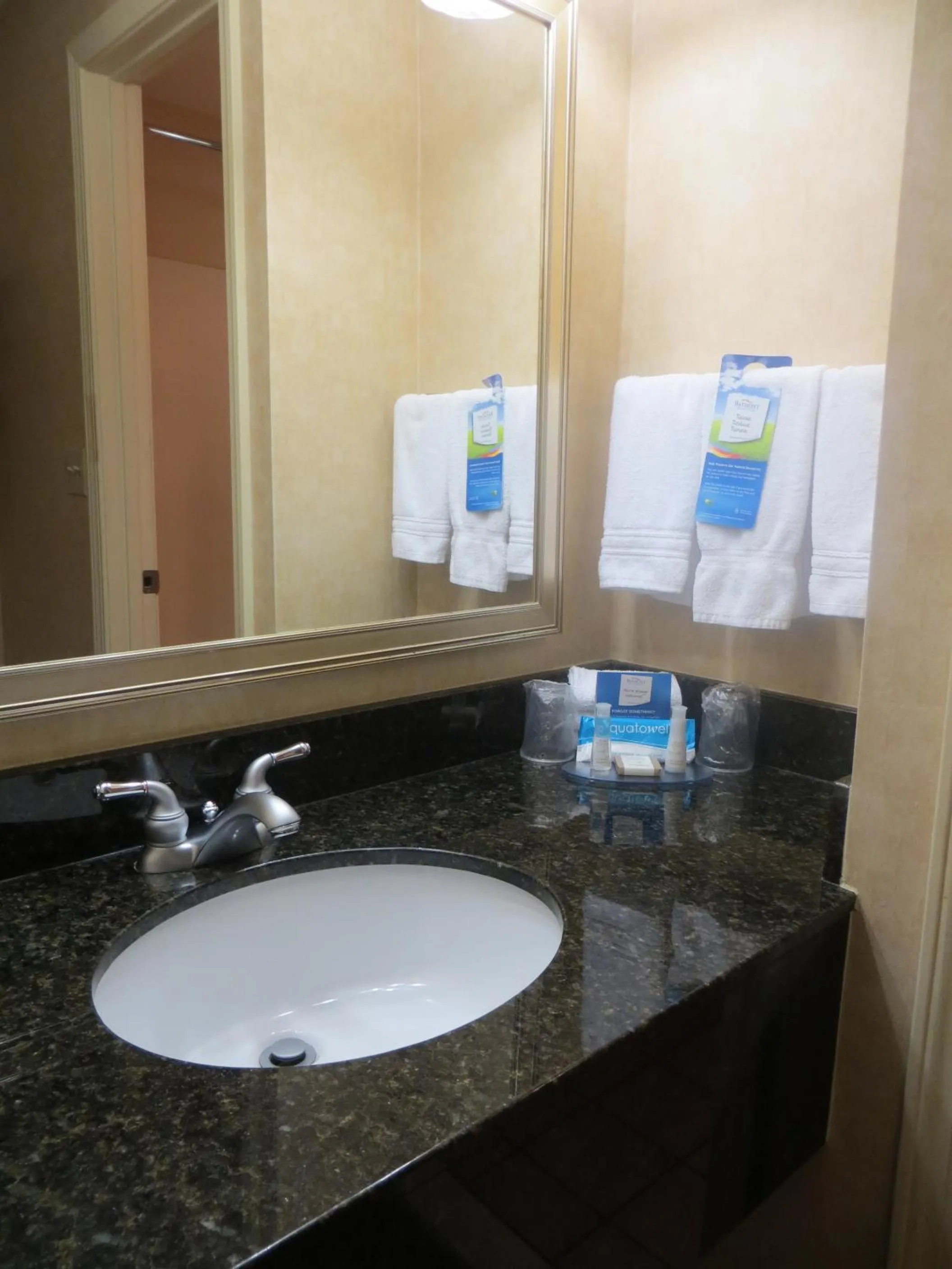 Bathroom in Baymont by Wyndham Indianapolis West