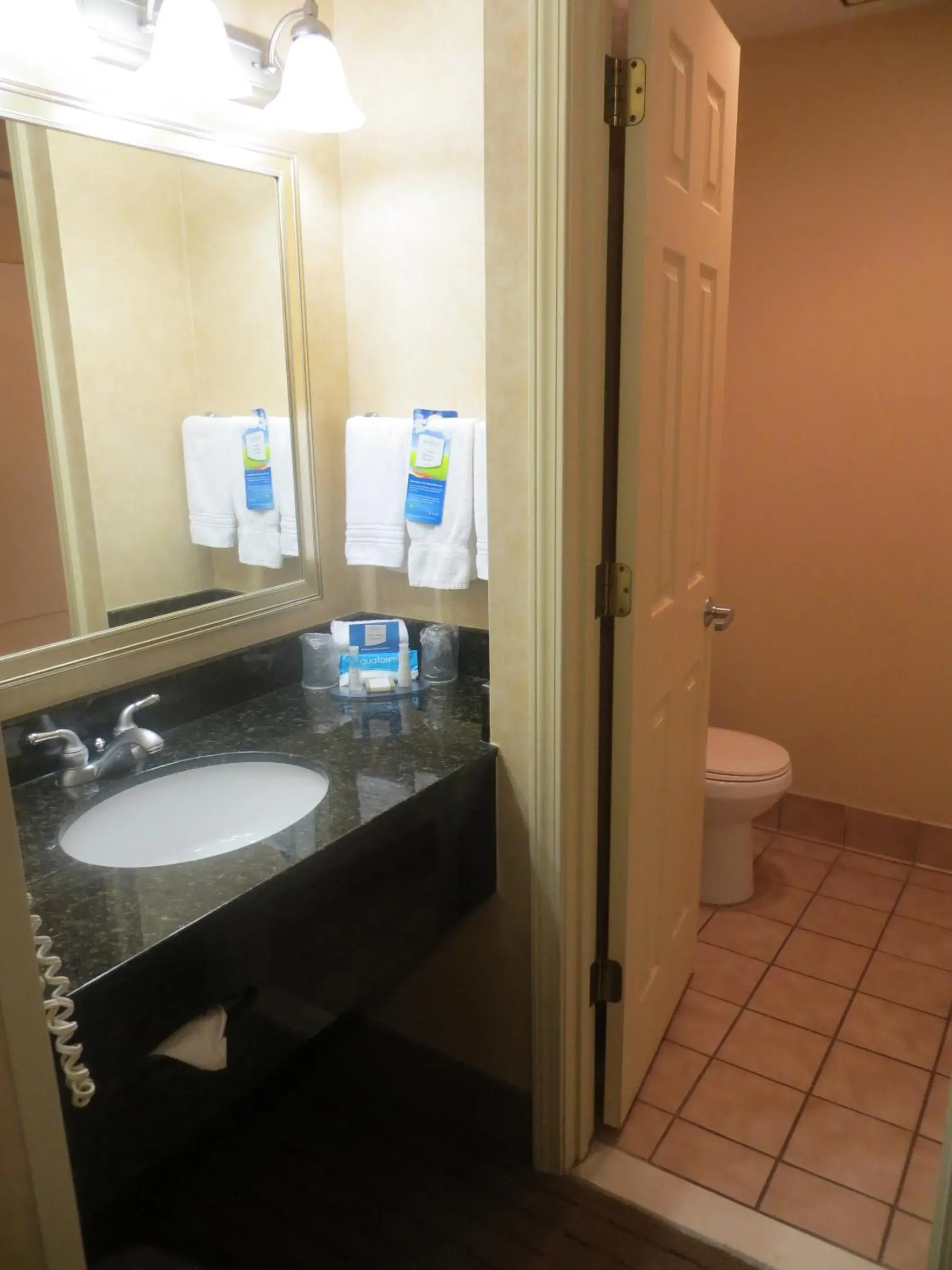 Toilet, Bathroom in Baymont by Wyndham Indianapolis West