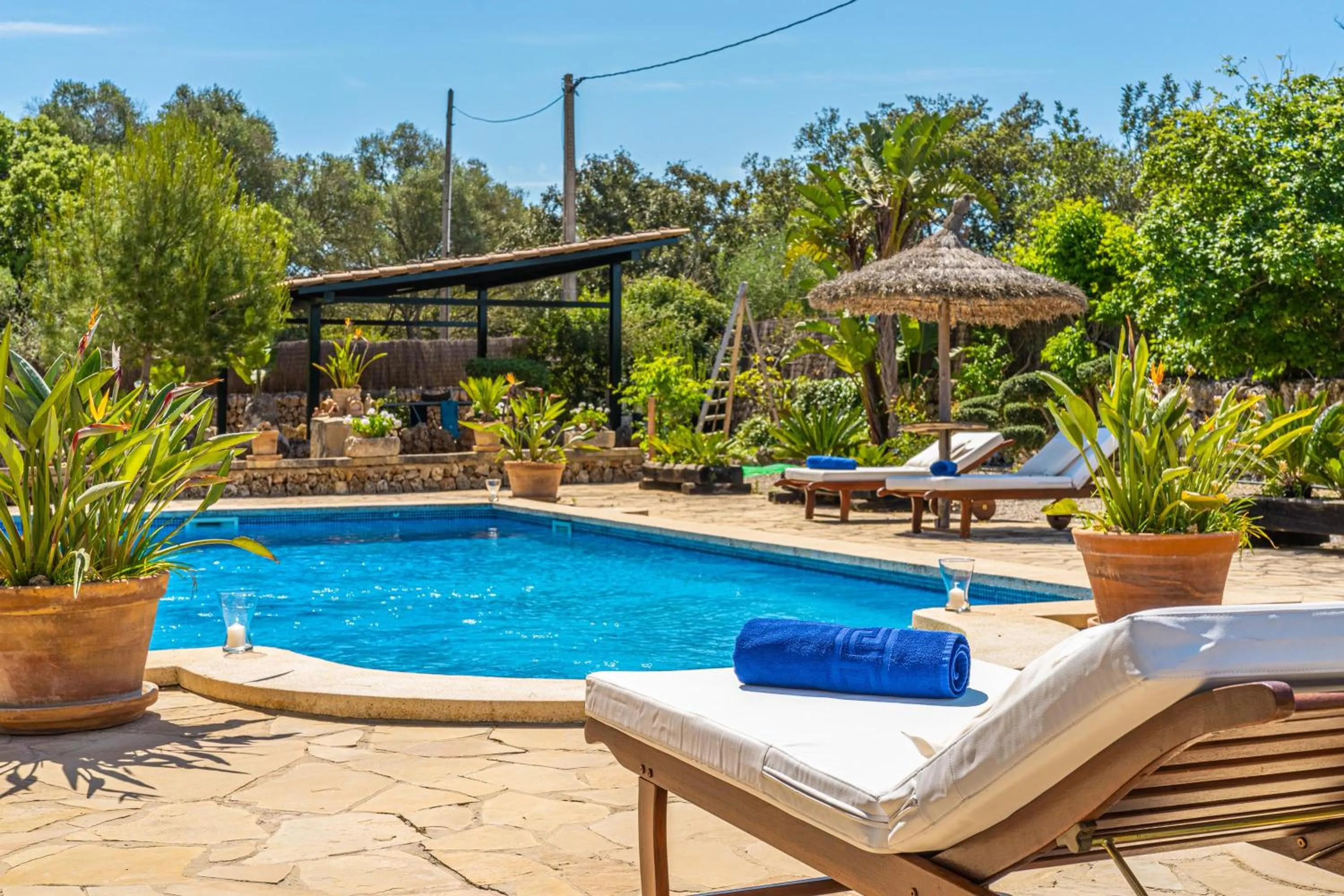 Swimming pool in Son Mulet