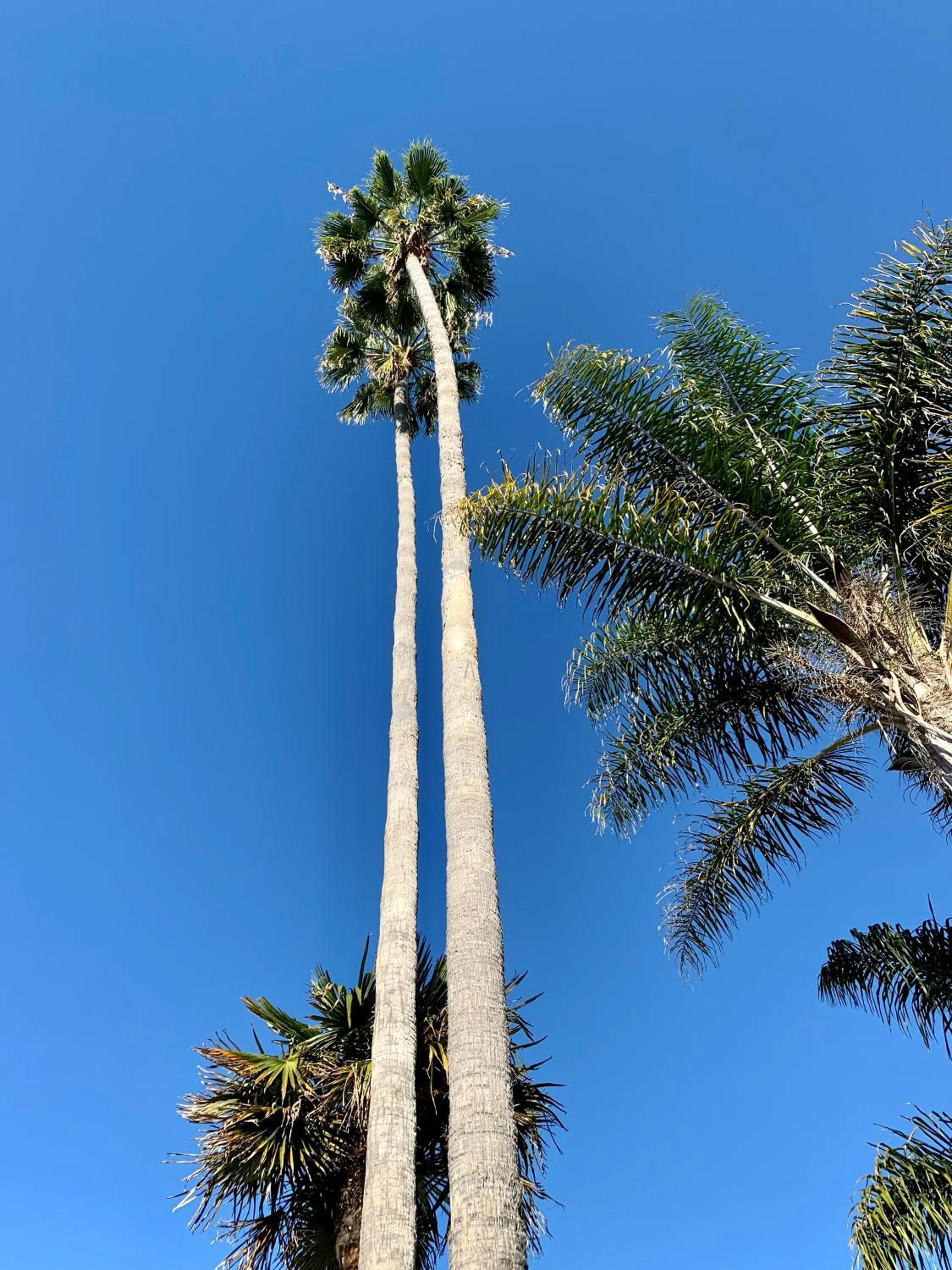 View (from property/room) in Inn at East Beach