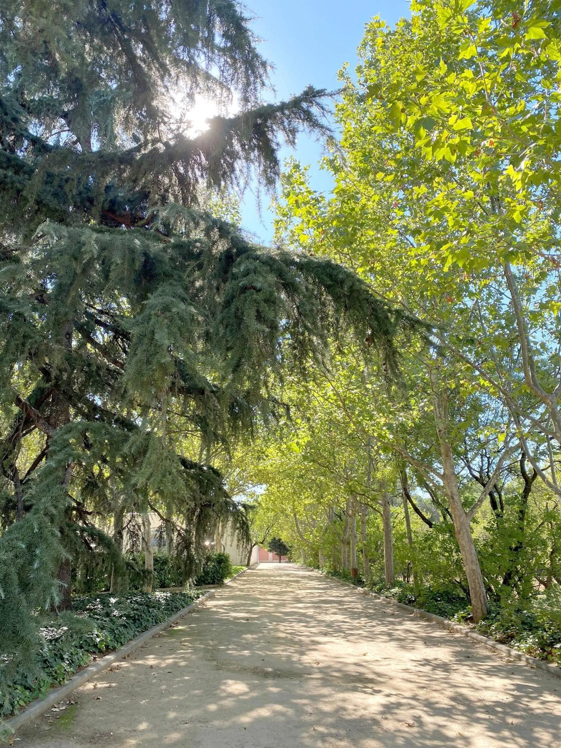 Hotel BESTPRICE Alcalá