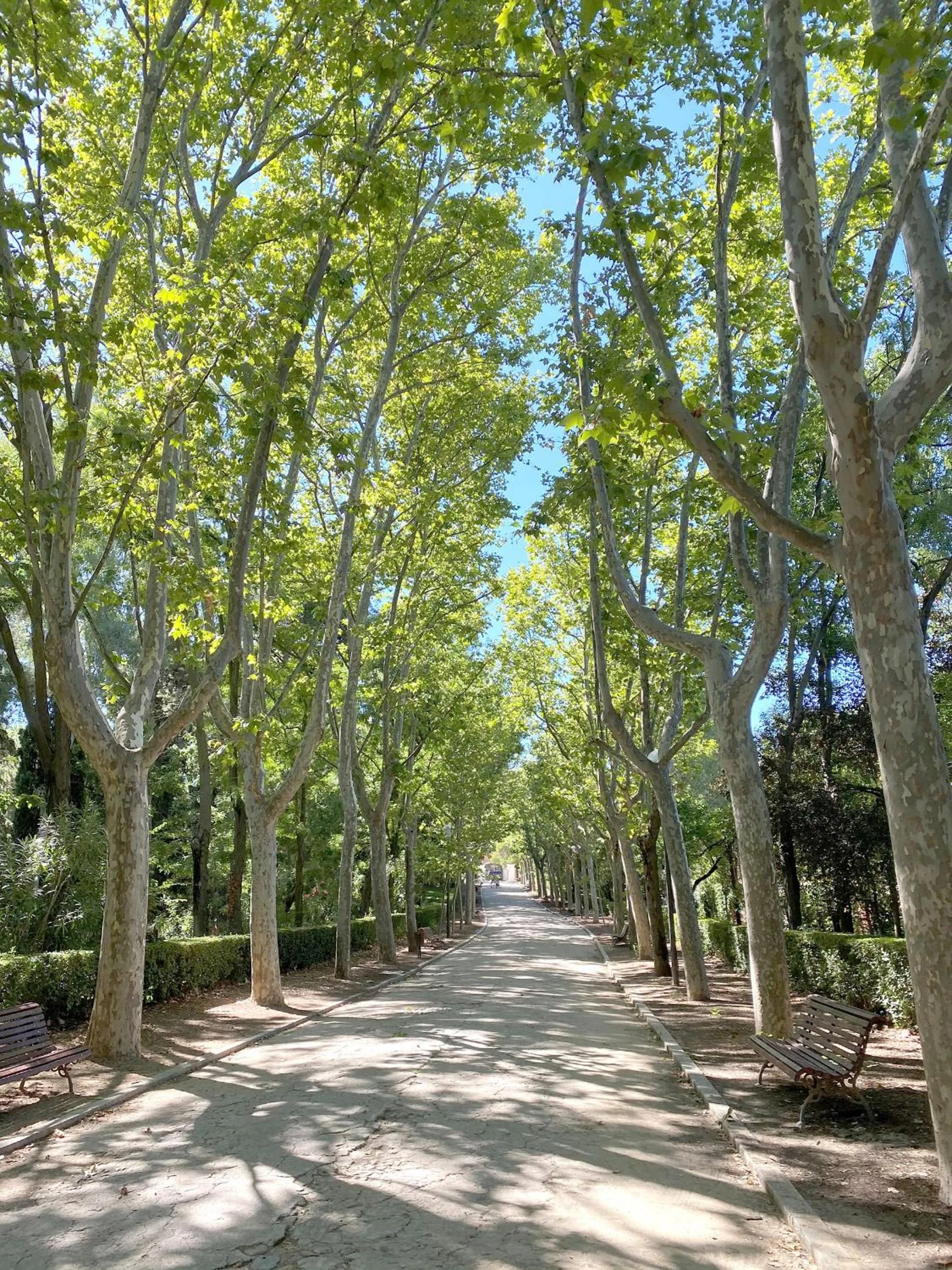 Hotel BESTPRICE Alcalá