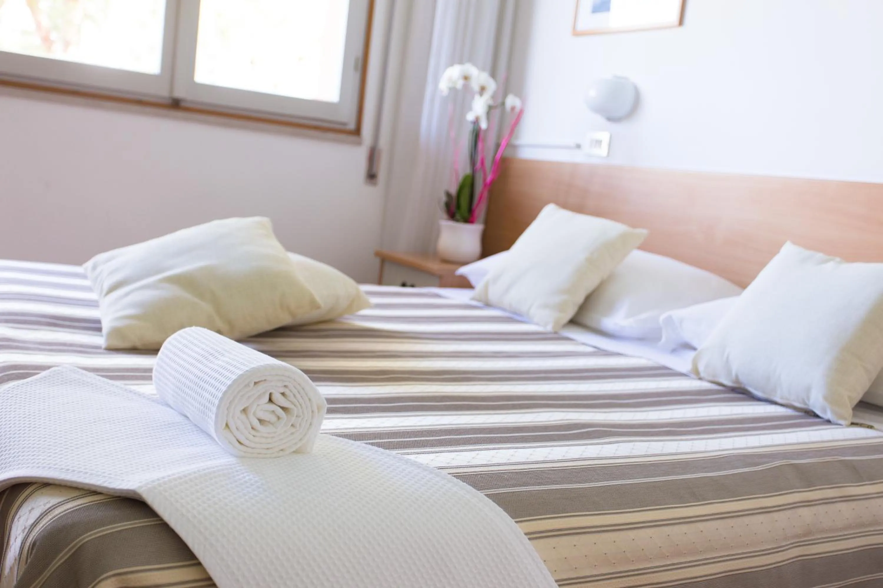 Bed in Hotel Meeting