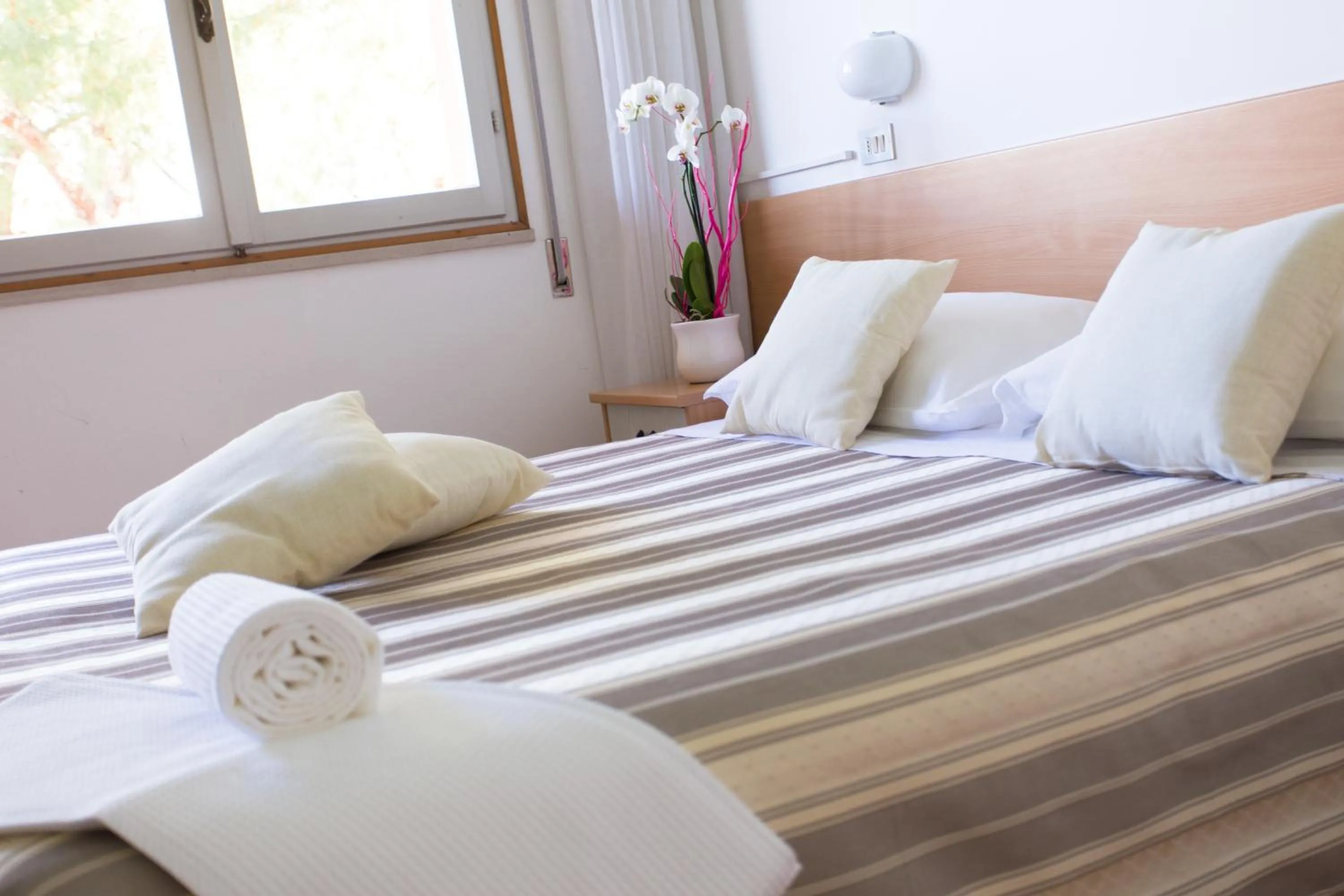 Bed in Hotel Meeting