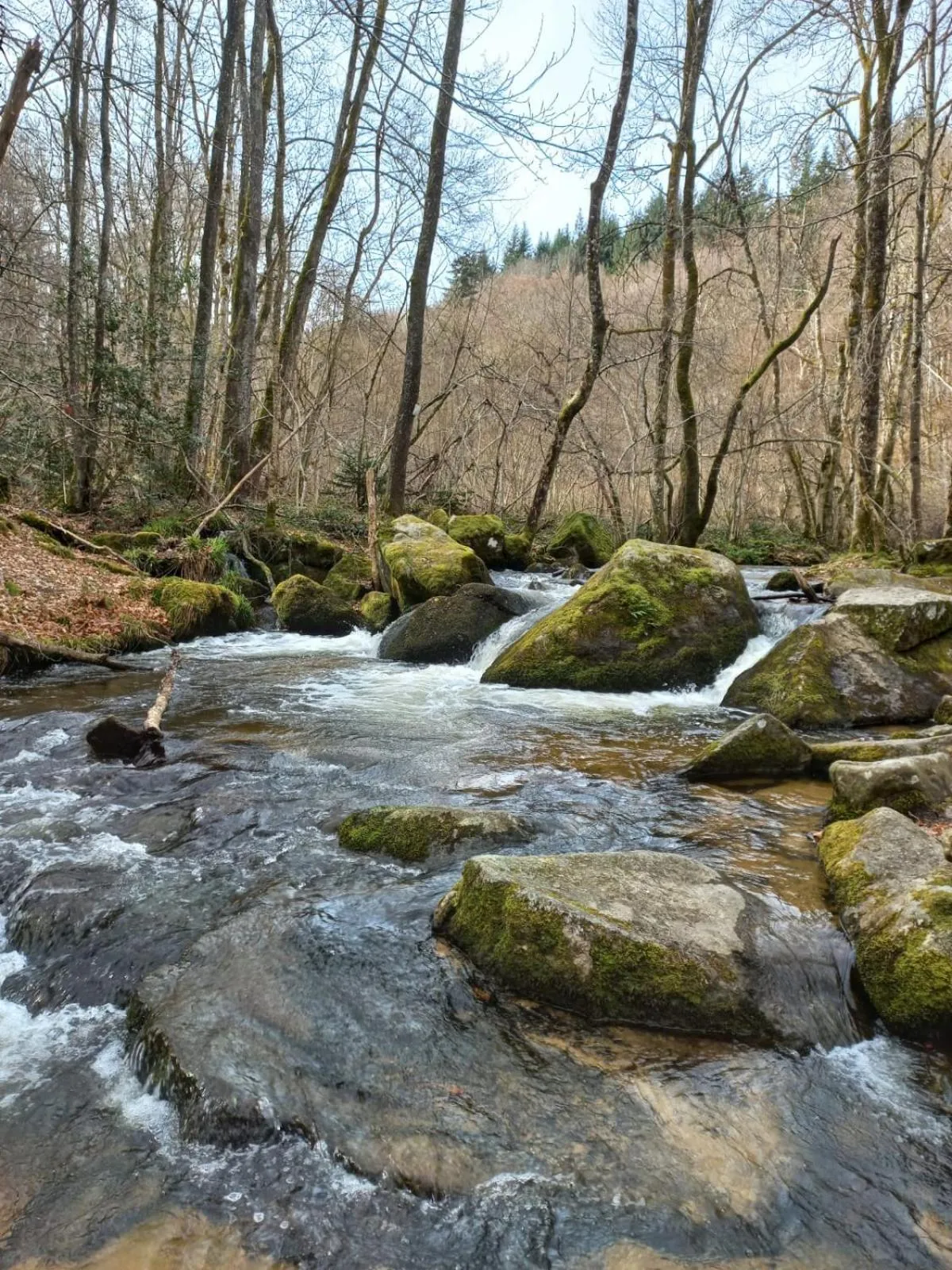 Nearby landmark in Auberge du Précontent