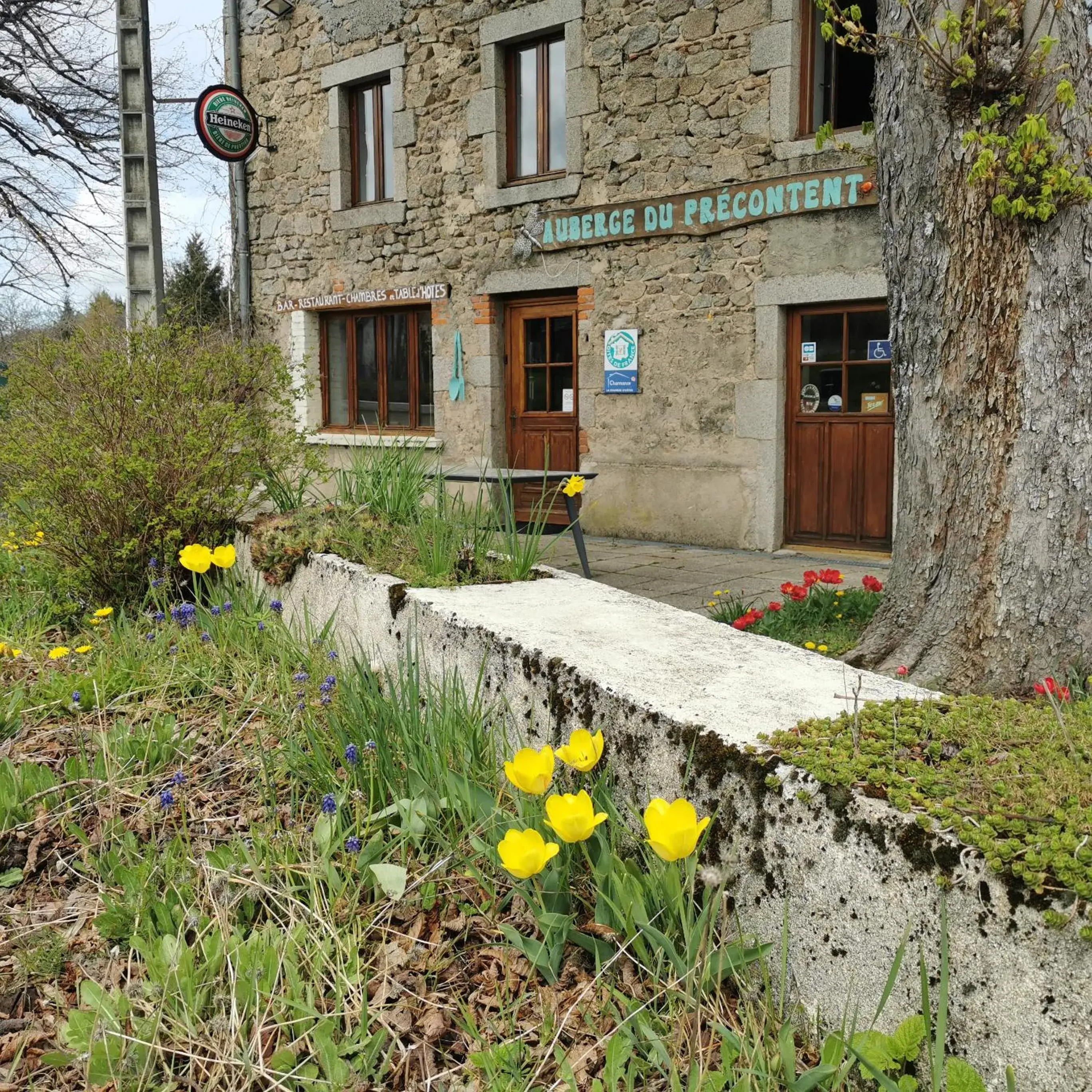 Auberge du Précontent Auberge du Précontent