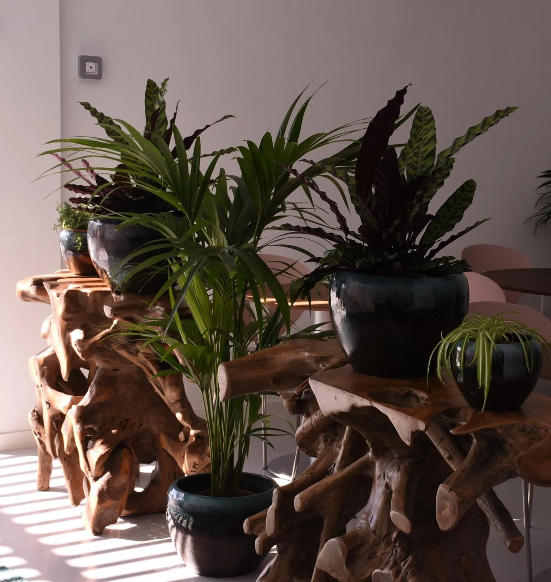 Lobby or reception in Mana EcoRetreat