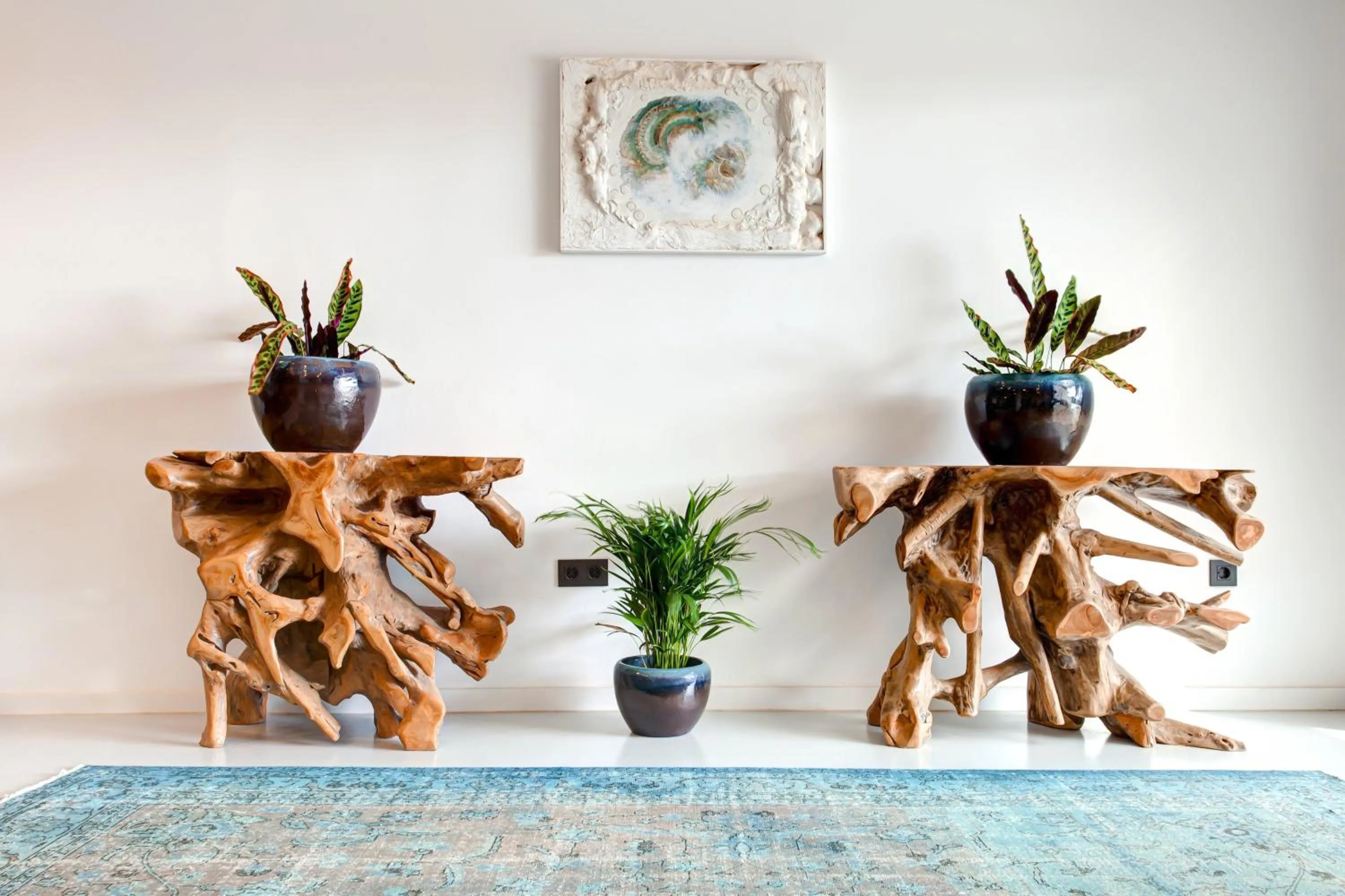 Property building in Mana EcoRetreat