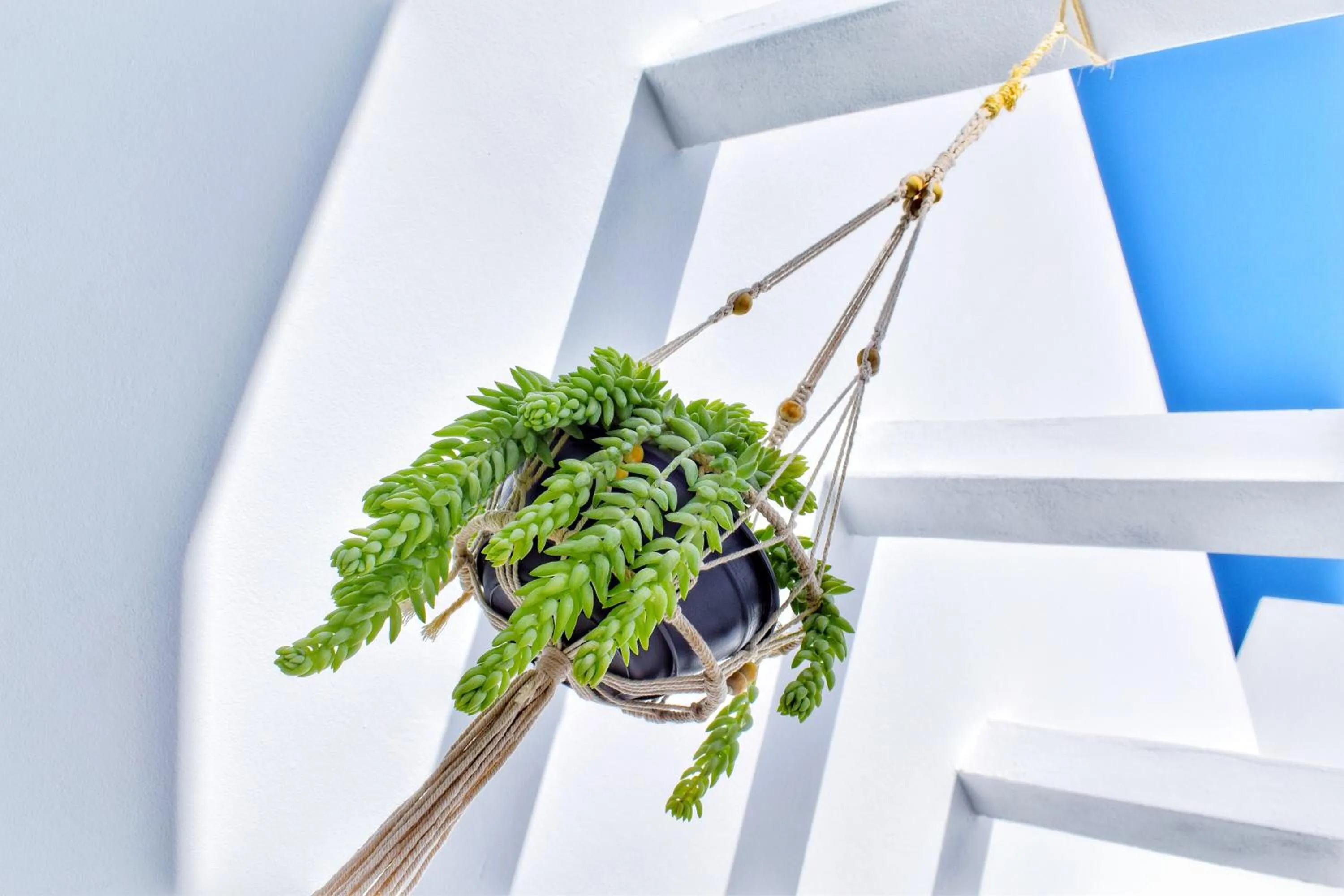 Balcony/Terrace in Mana EcoRetreat