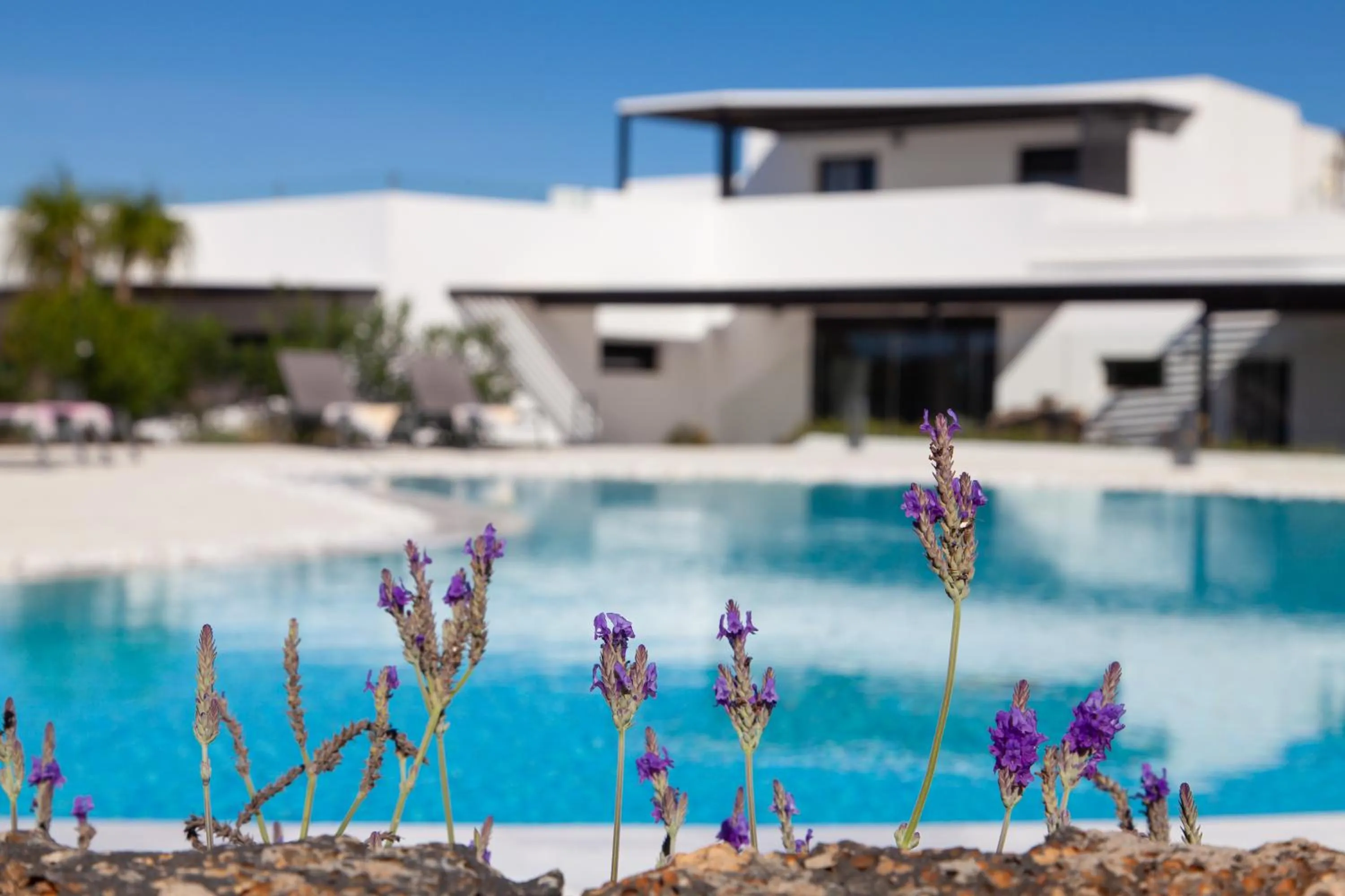 Property building in Mana EcoRetreat