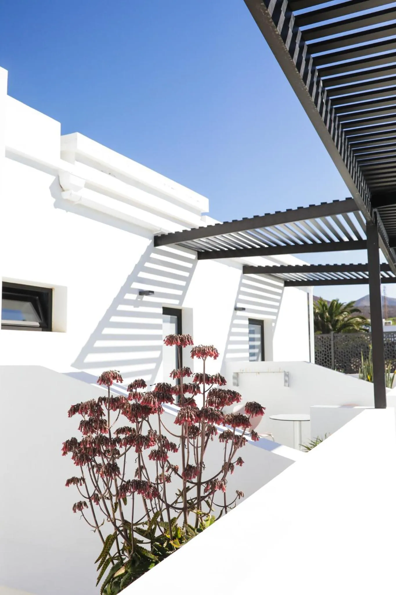 Balcony/Terrace in Mana EcoRetreat