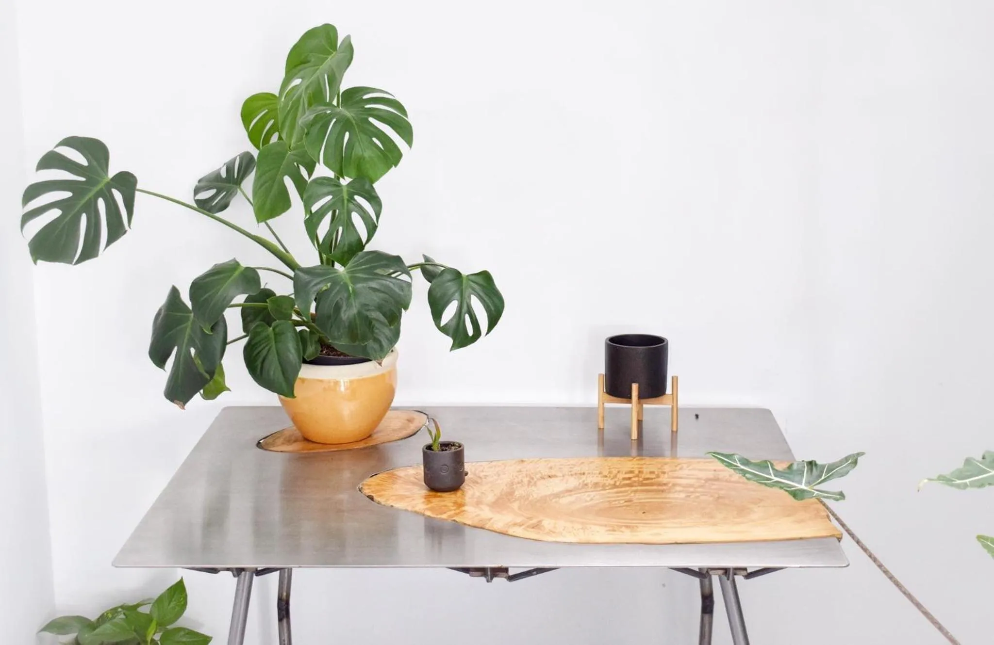 Communal lounge/ TV room in Mana EcoRetreat