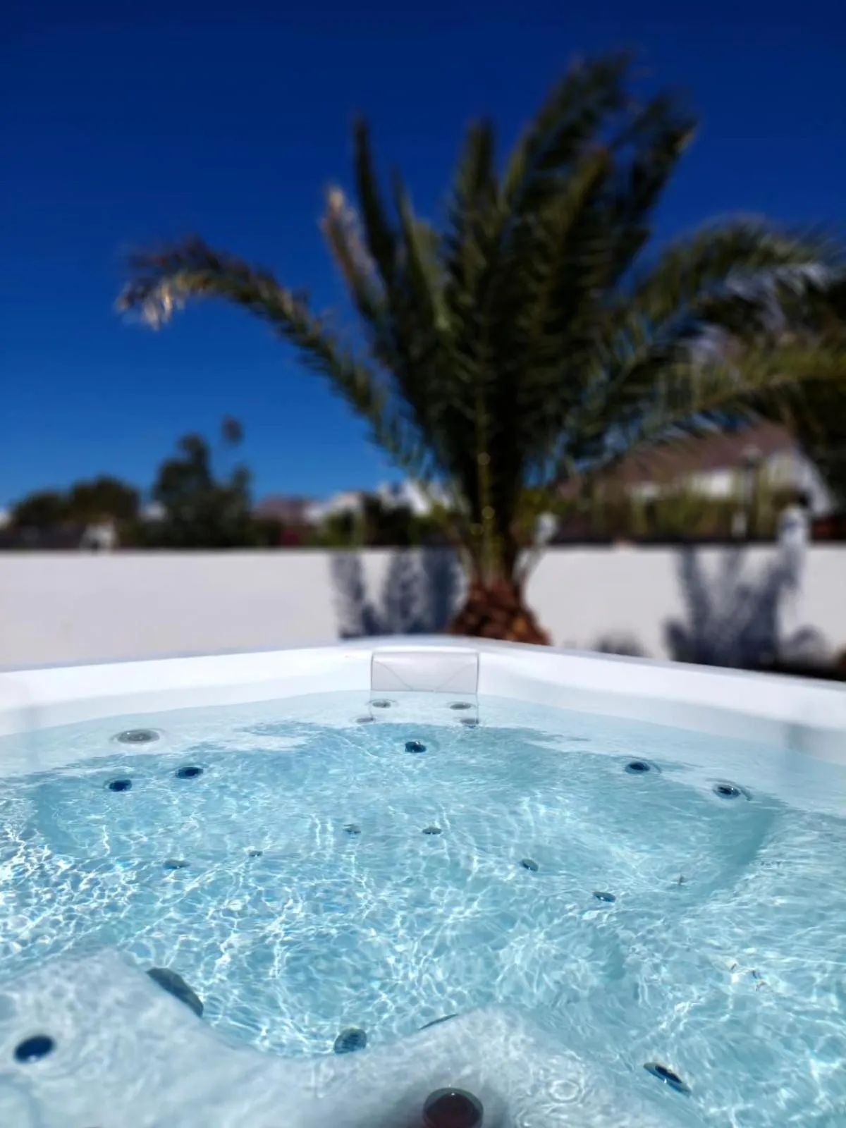 Garden in Mana EcoRetreat