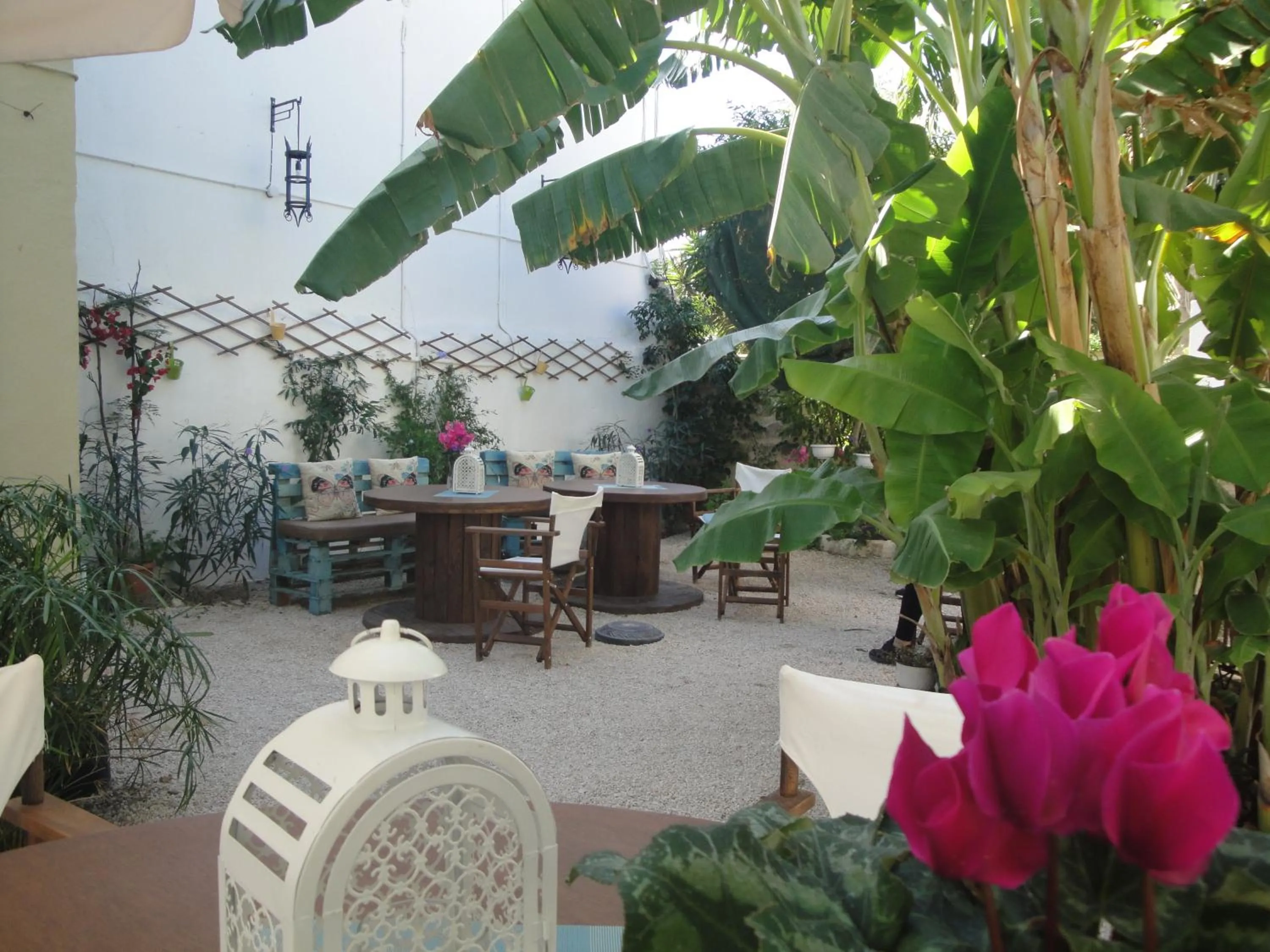 Garden in Medieval Inn