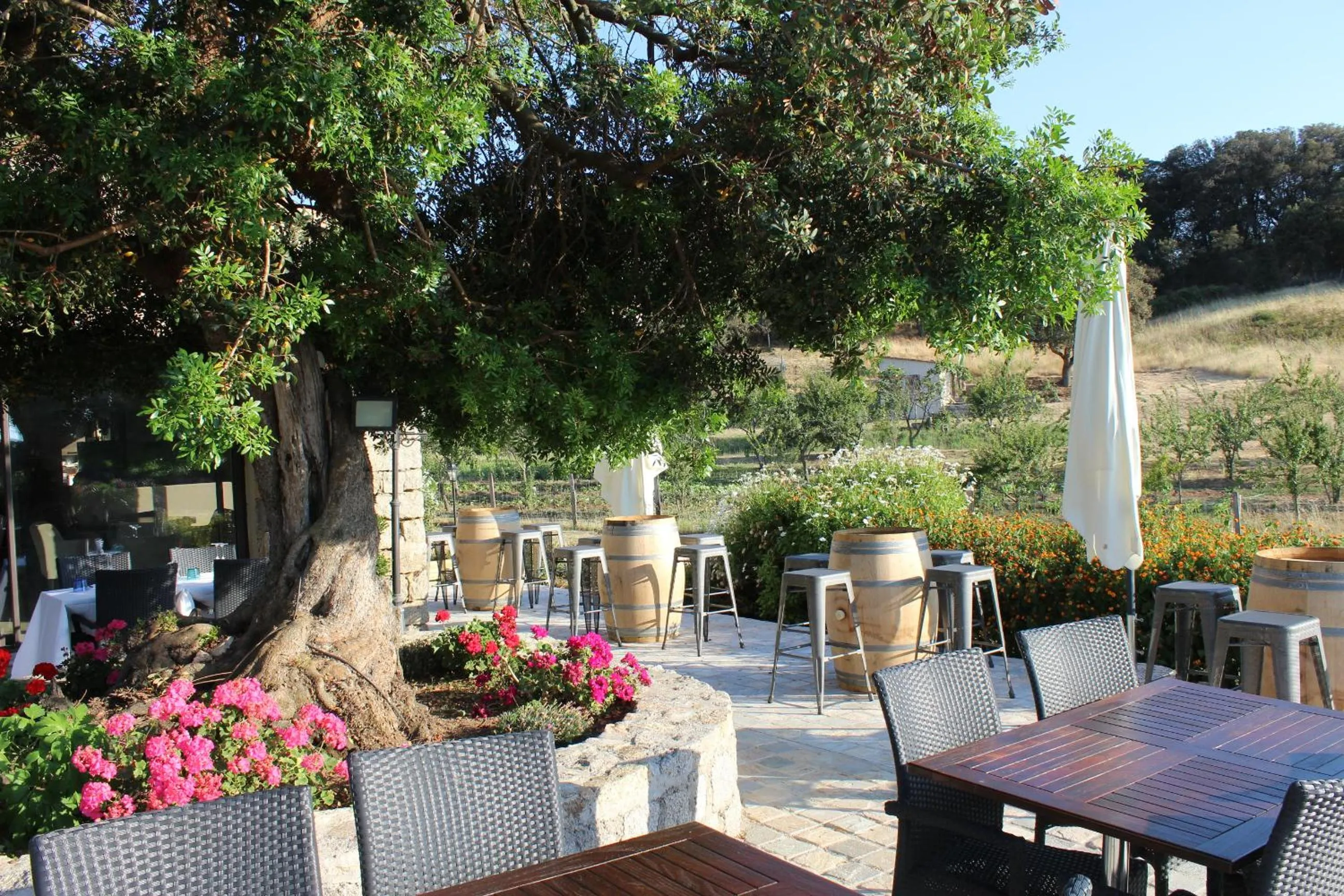 Patio in Hotel & Restaurant Les Bergeries d'Alata