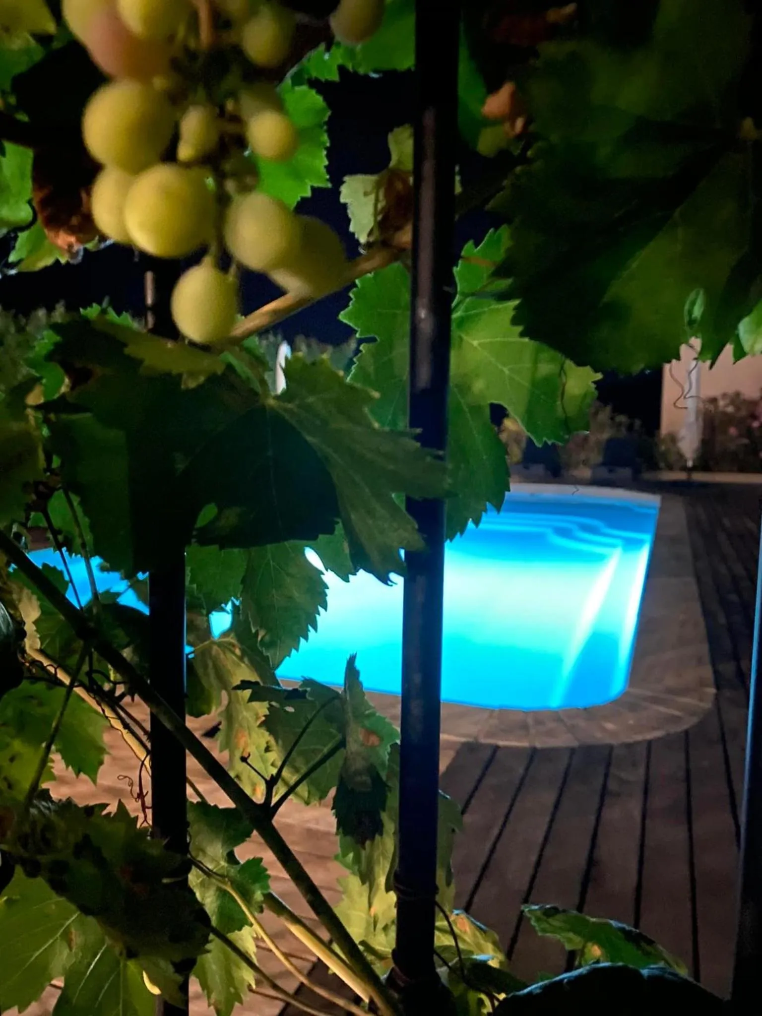 Swimming pool in Hotel & Restaurant Les Bergeries d'Alata