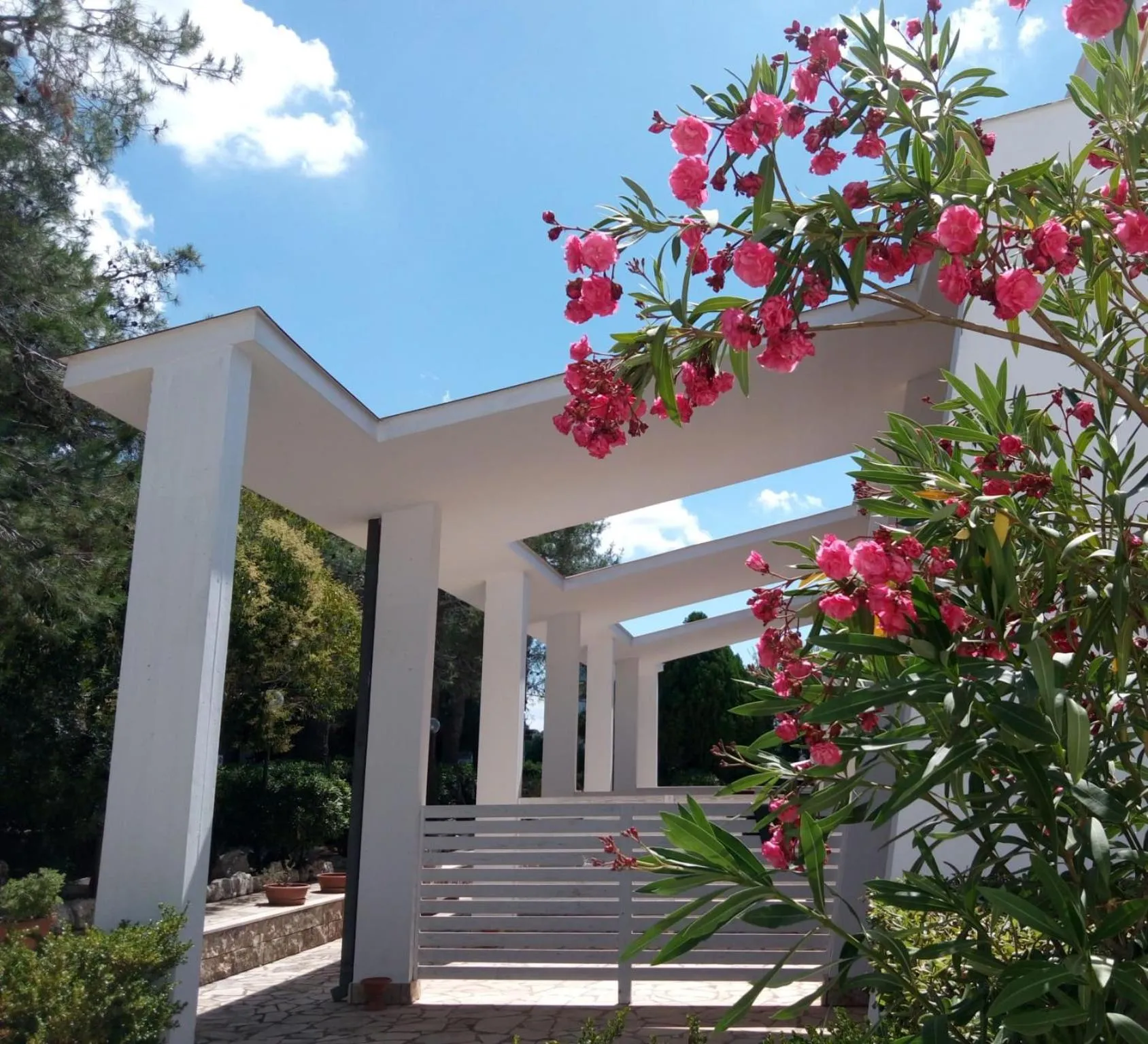 Property building in Raggio Di Sole