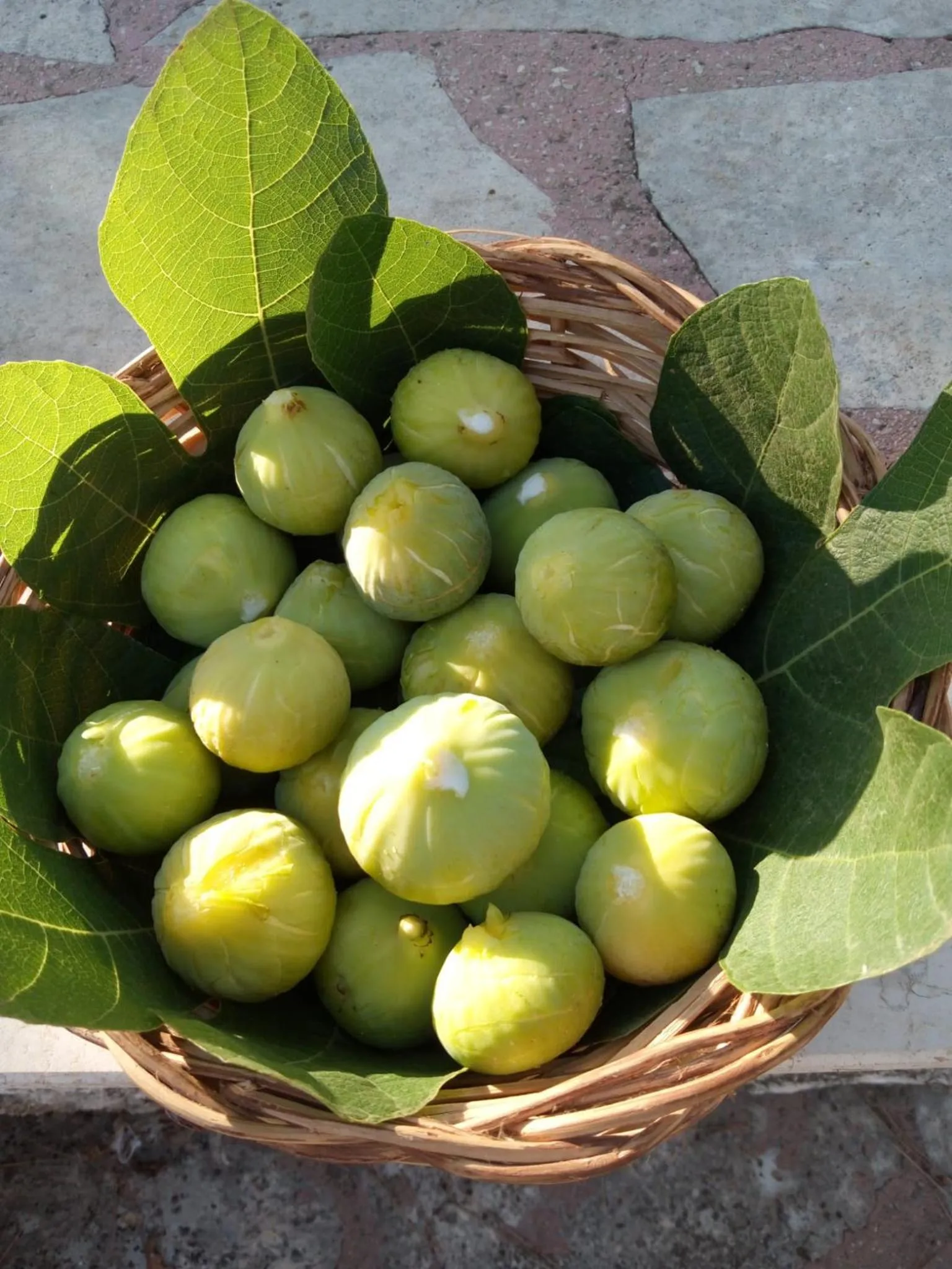 Food in Raggio Di Sole