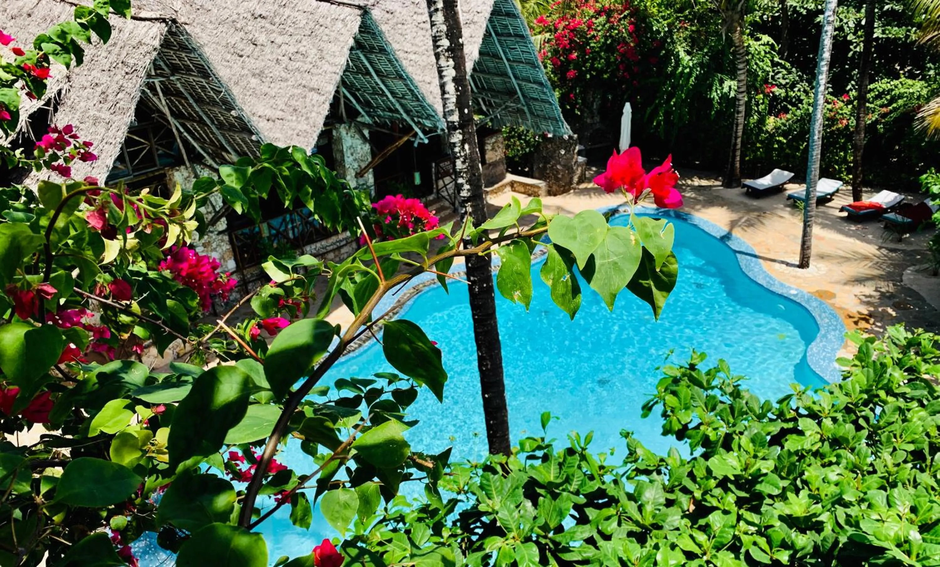 Pool view in Samaki Lodge & Spa