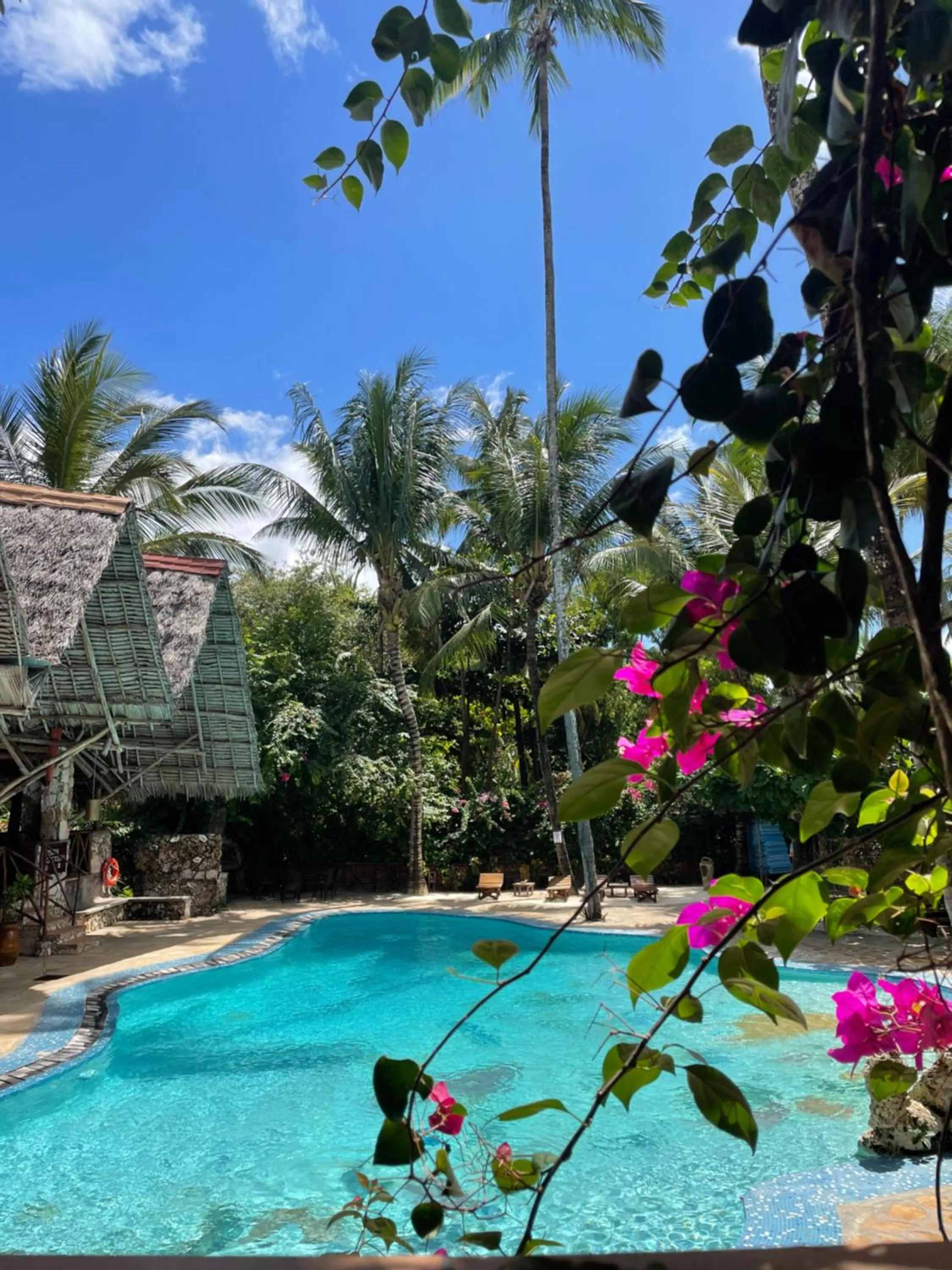 Swimming pool in Samaki Lodge & Spa