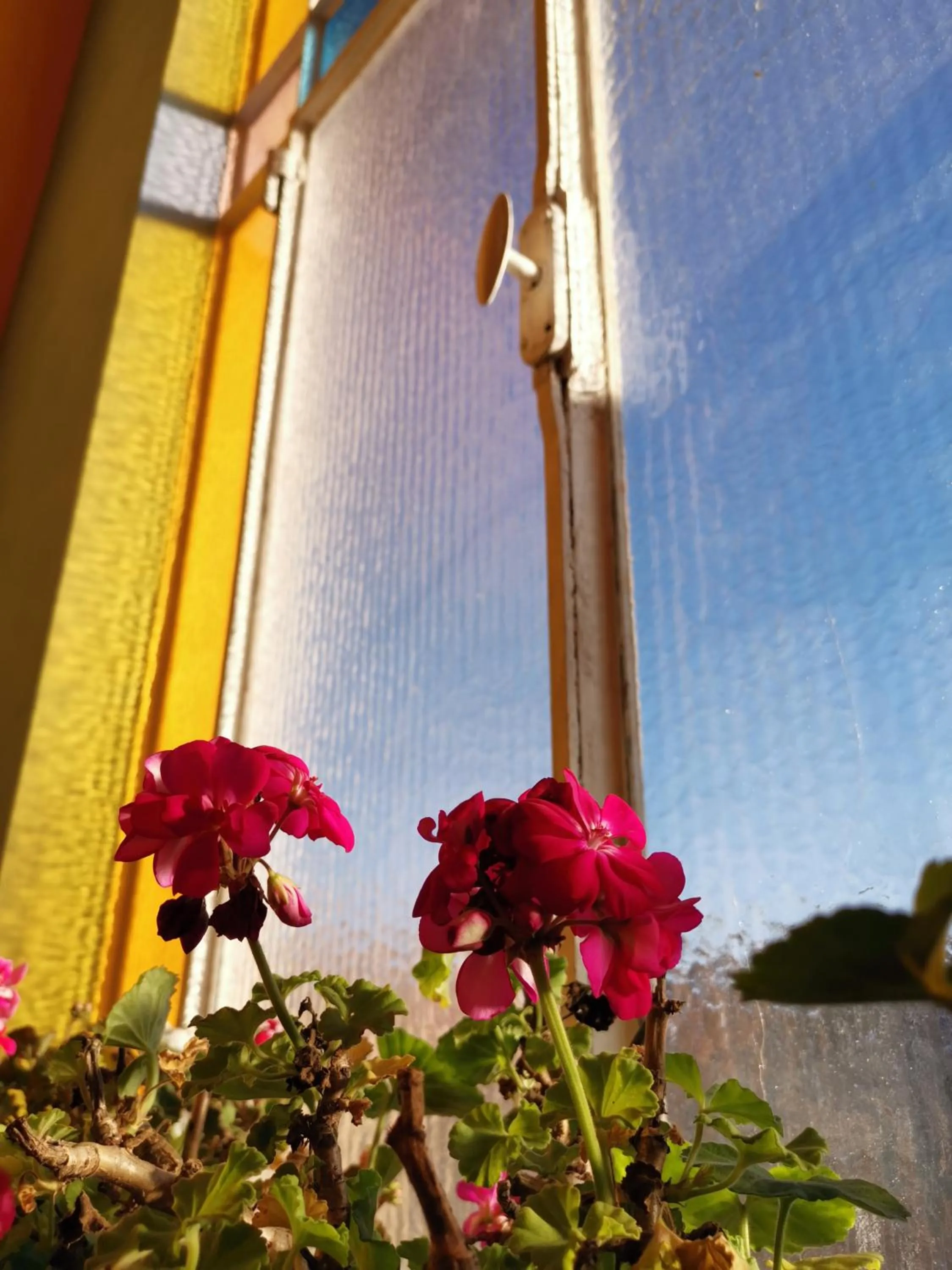 Spring in B&B Ad Quintum Torino