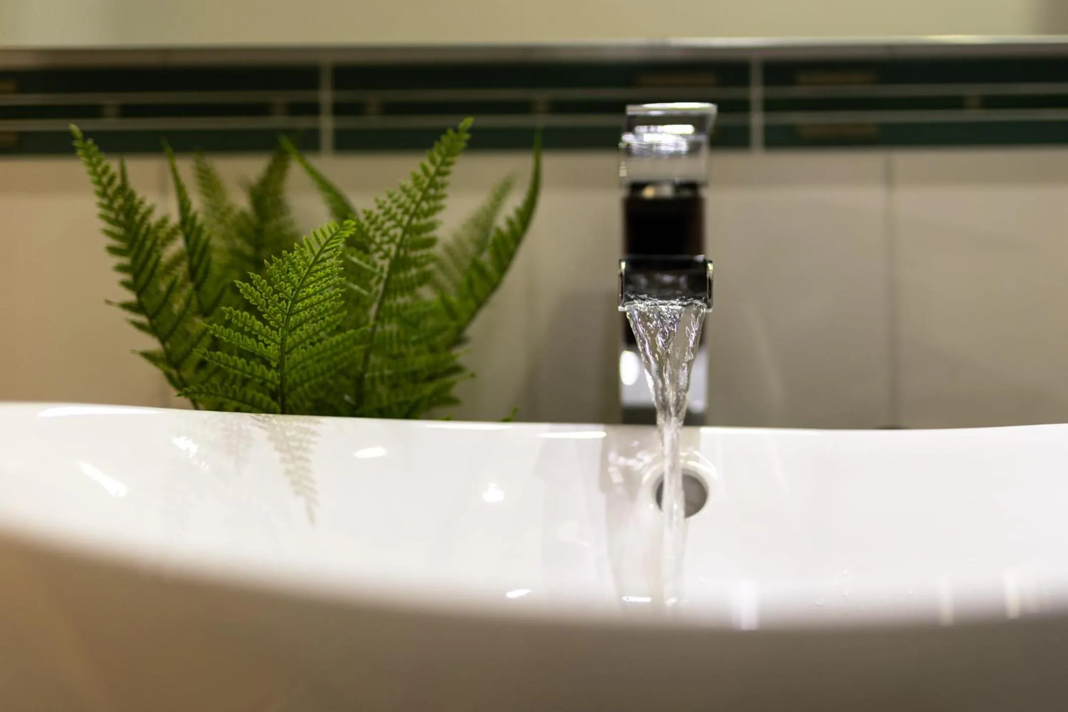 Bathroom in Caemorgan Mansion