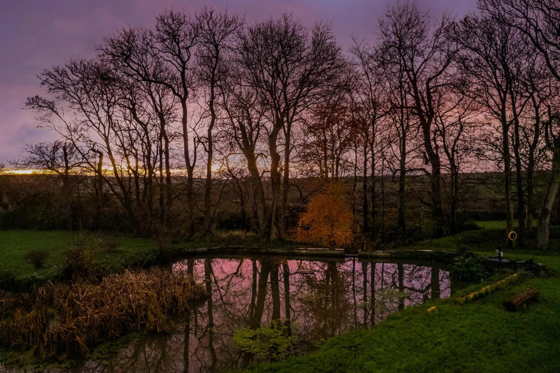Natural landscape in Caemorgan Mansion