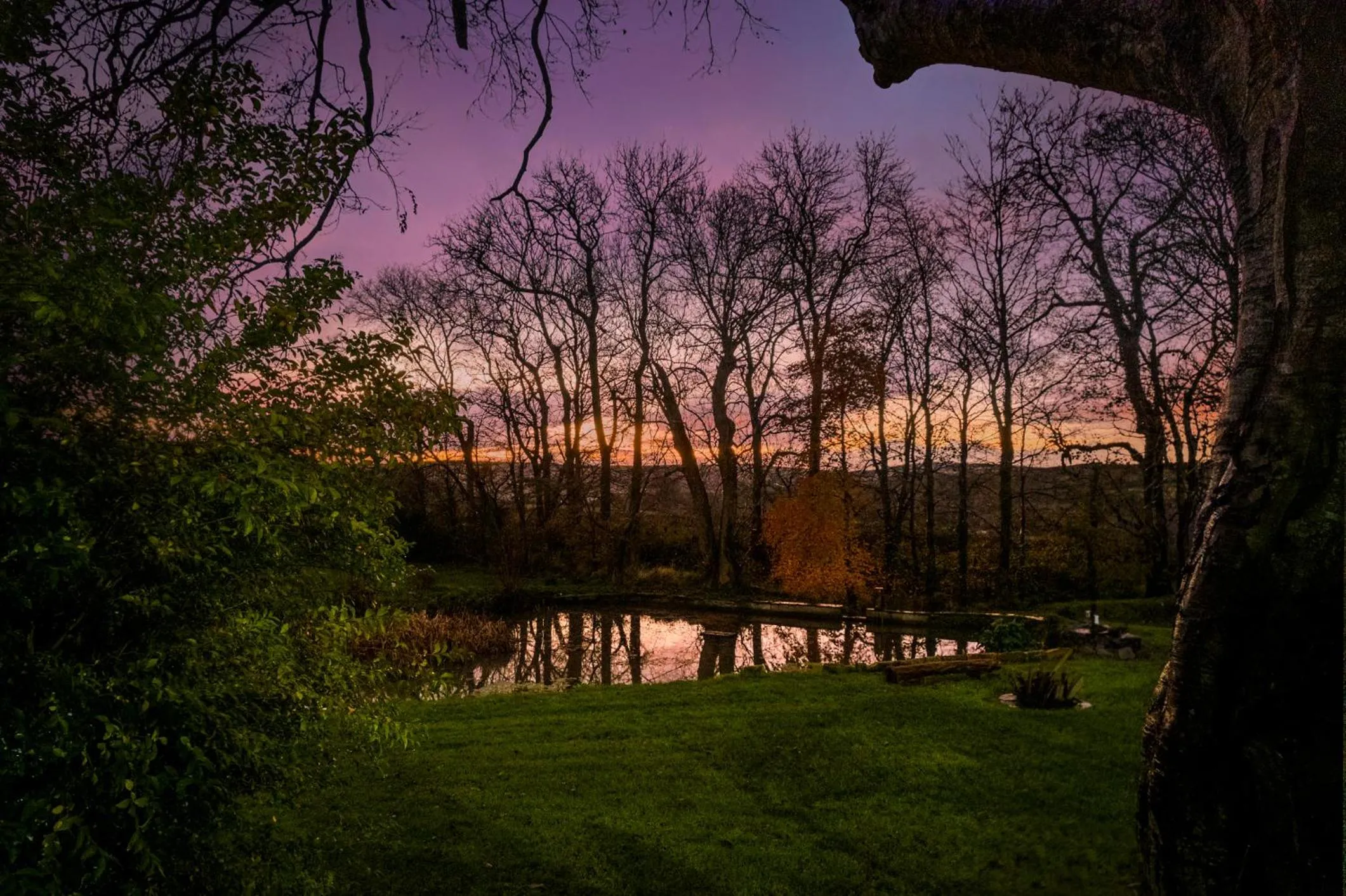 Natural landscape in Caemorgan Mansion