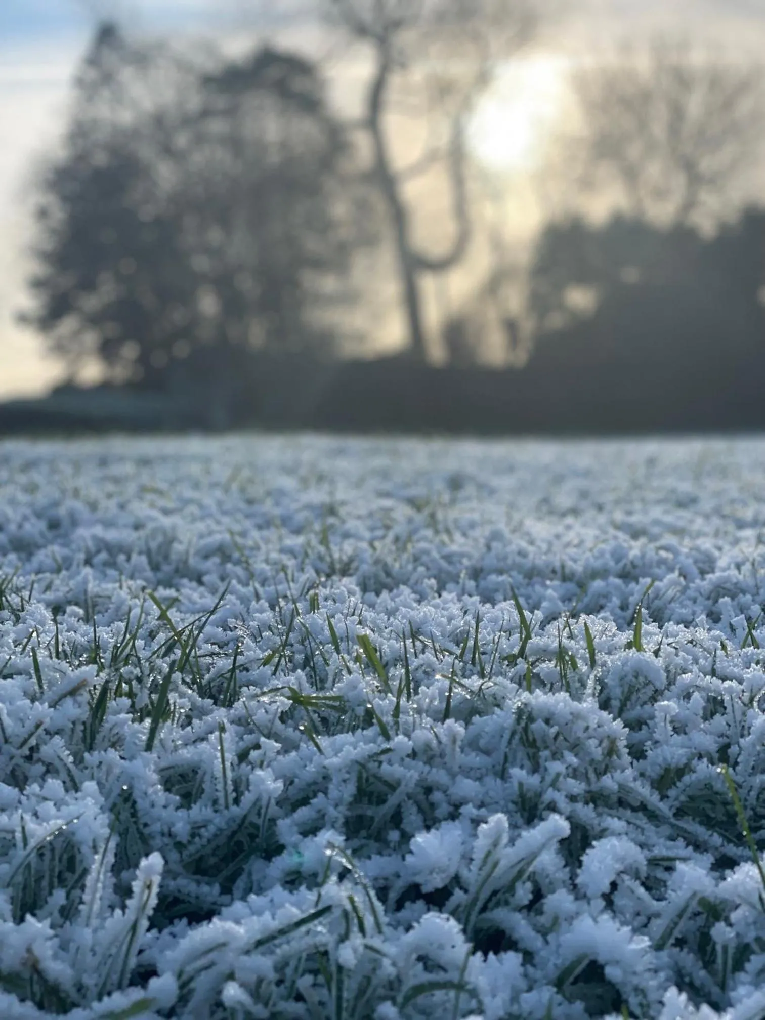 Winter in Caemorgan Mansion