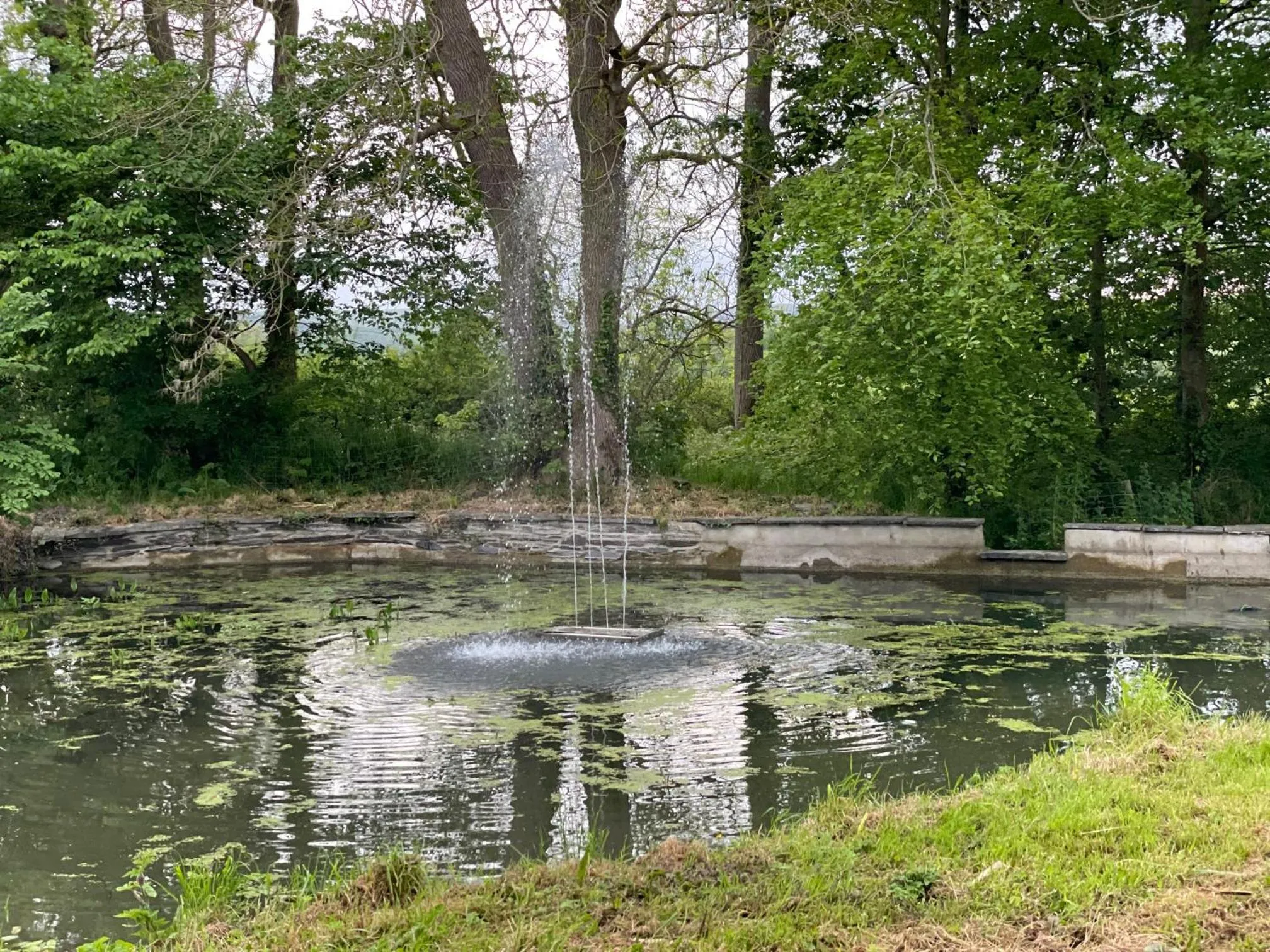 Garden in Caemorgan Mansion