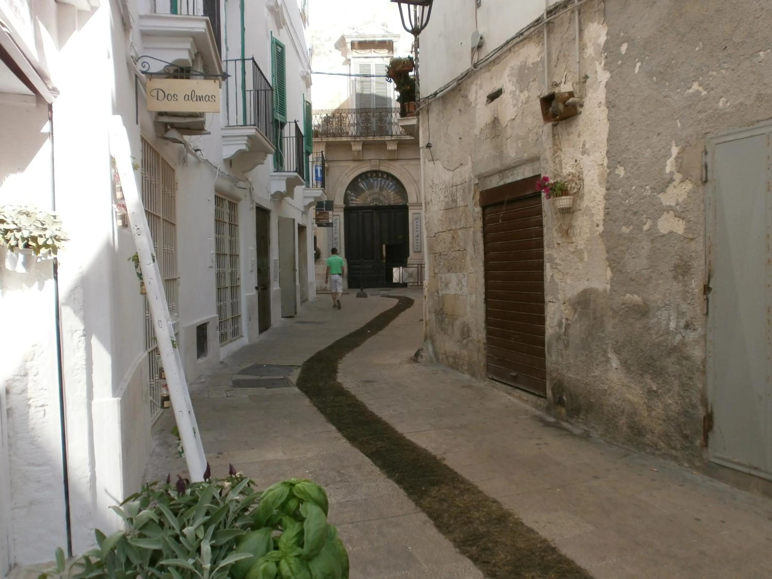 Property building in My House Suite