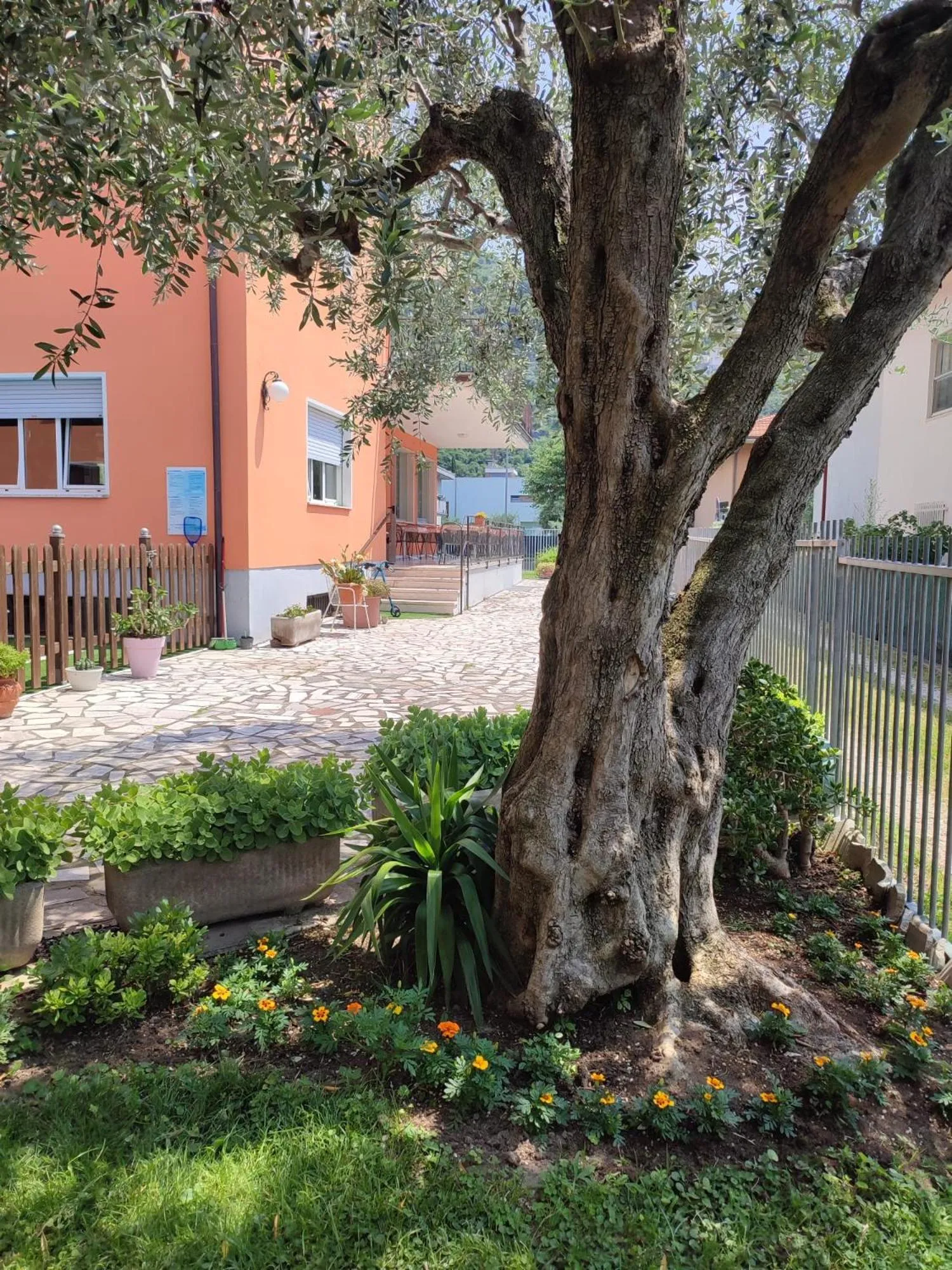 Property building in Albergo Villa Mimosa