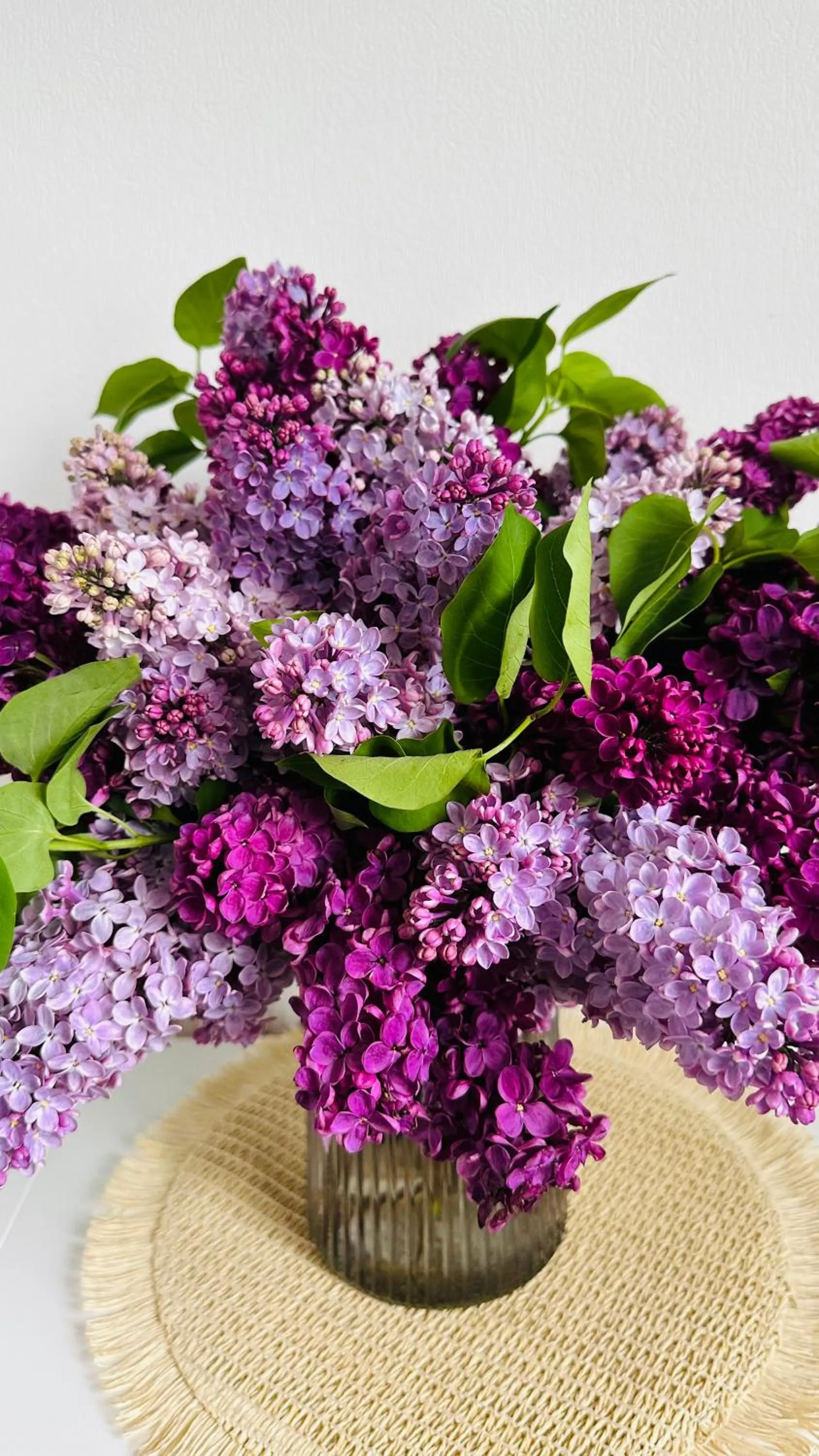 Spring in Hotel Tamar Mepe