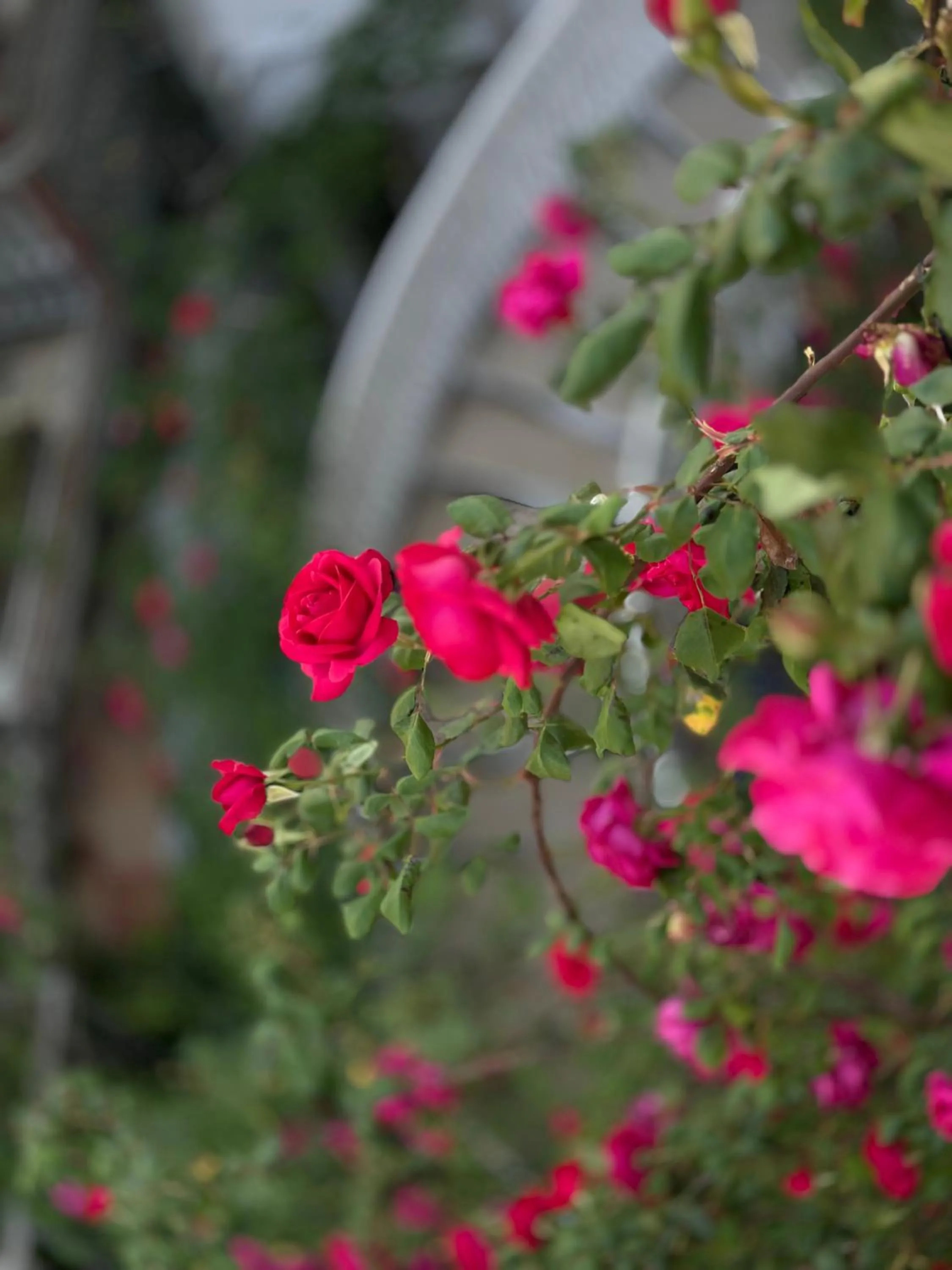 Property building in Hotel Tamar Mepe