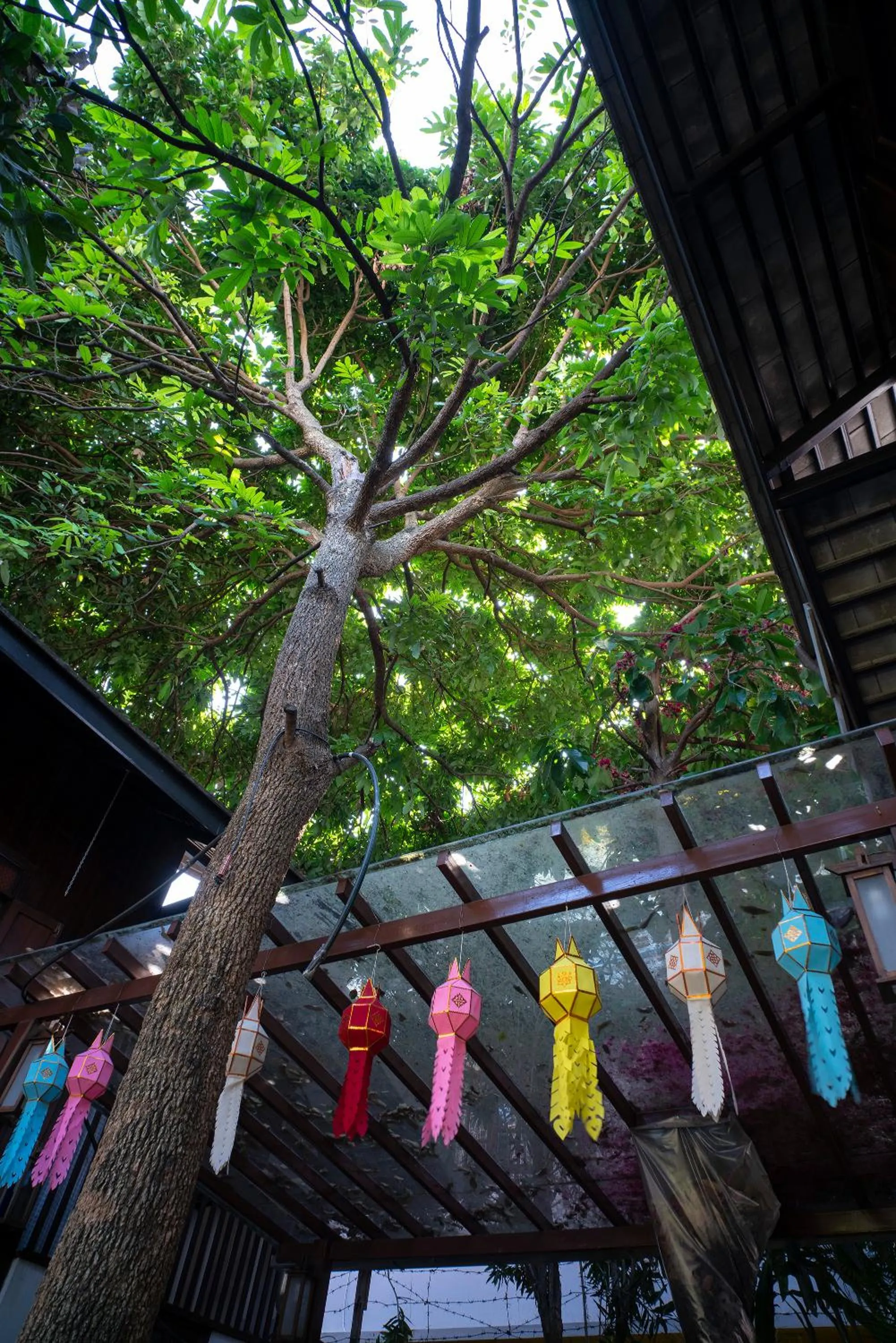 Balcony/Terrace in Chiang Mai Summer Resort