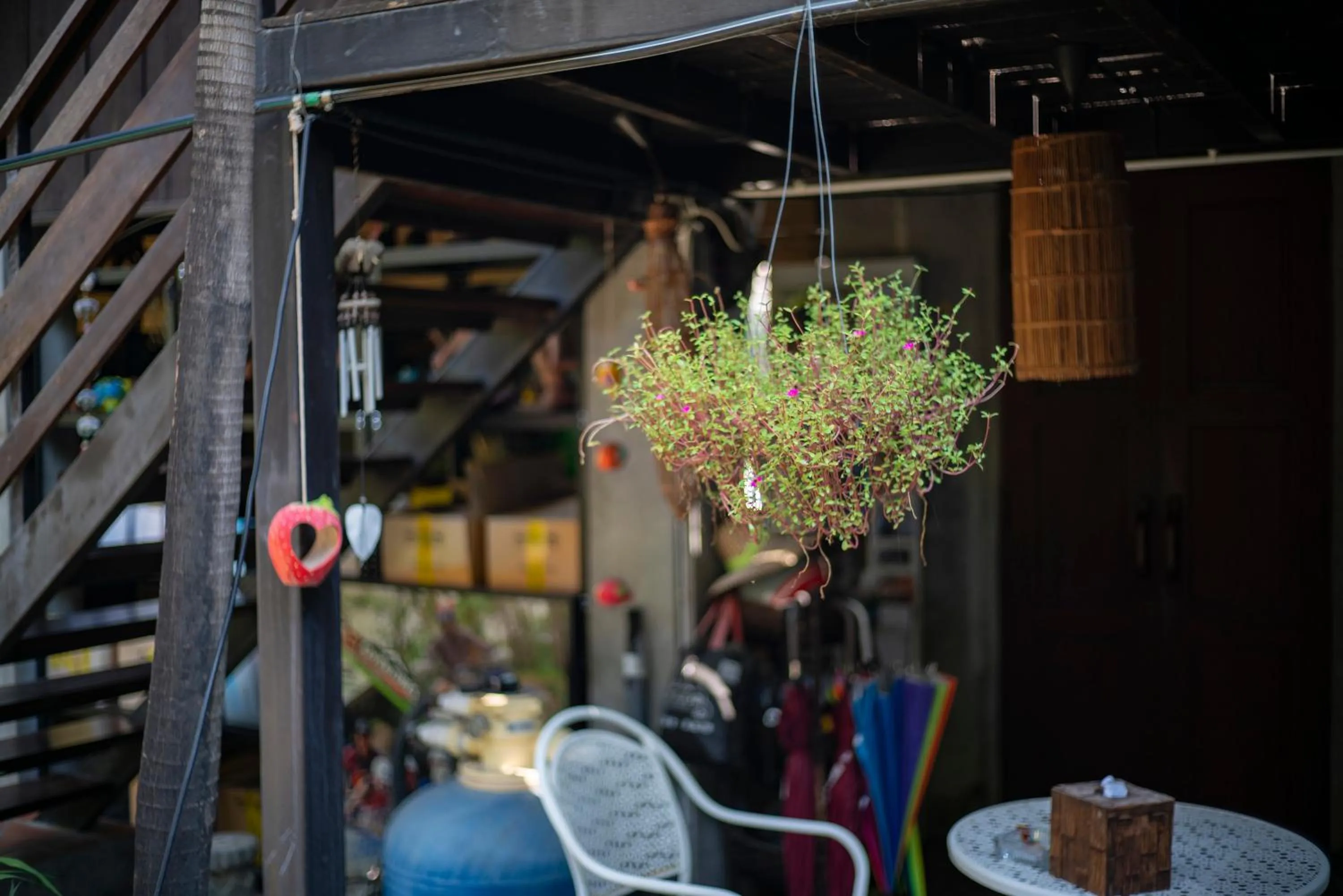 Patio in Chiang Mai Summer Resort