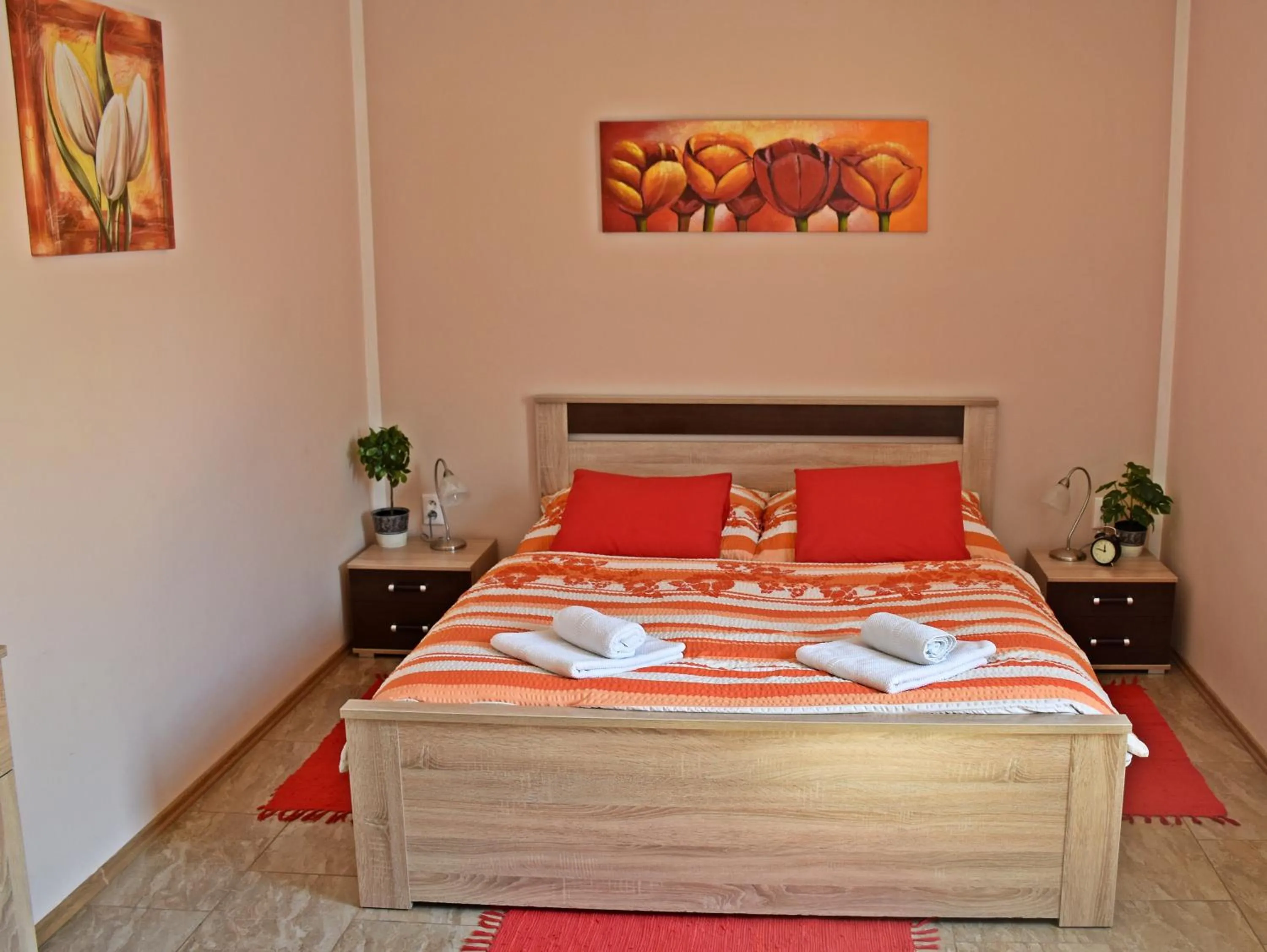 Apartment Boroví