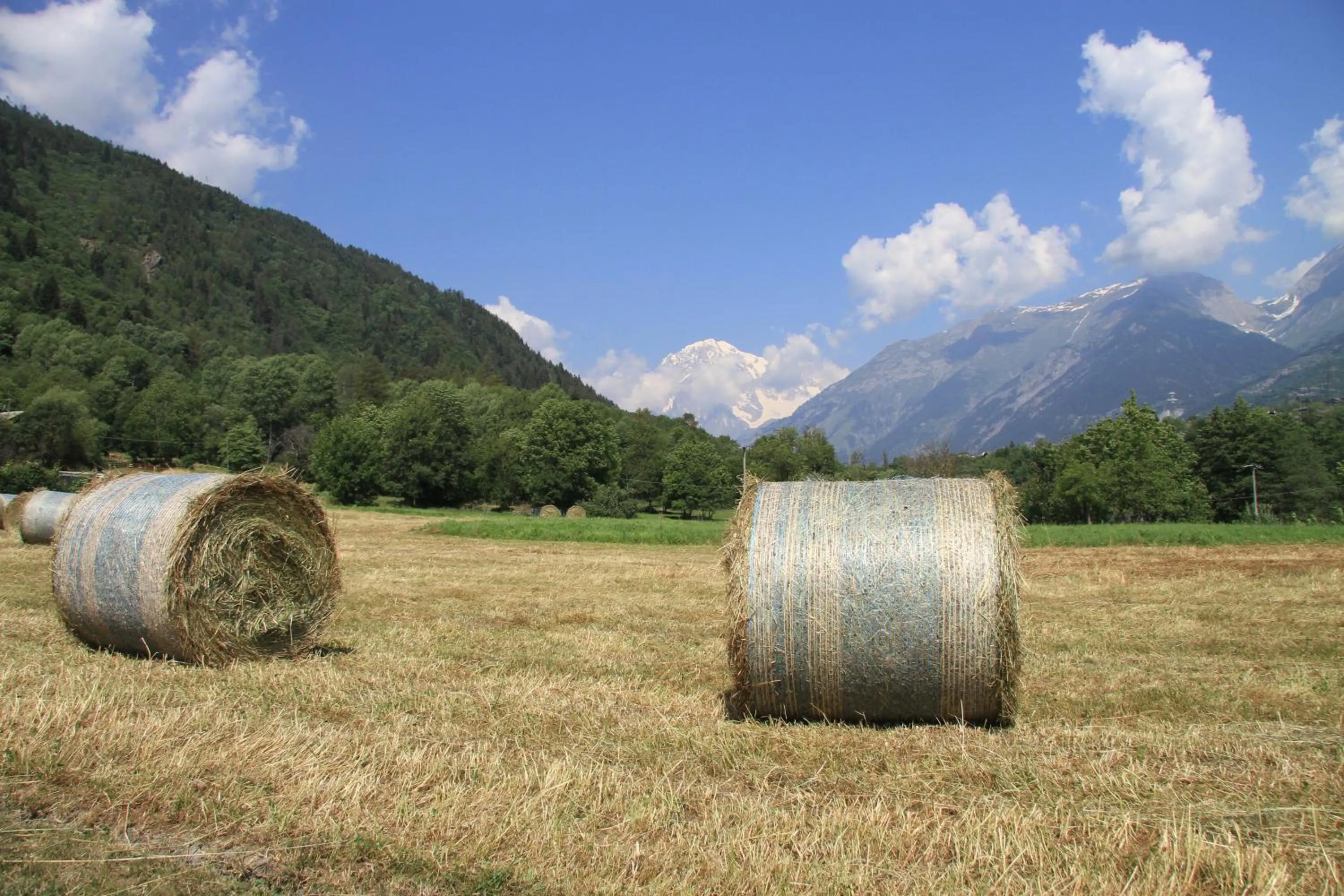 Day in Le Petit Coeur Residence De Montagne